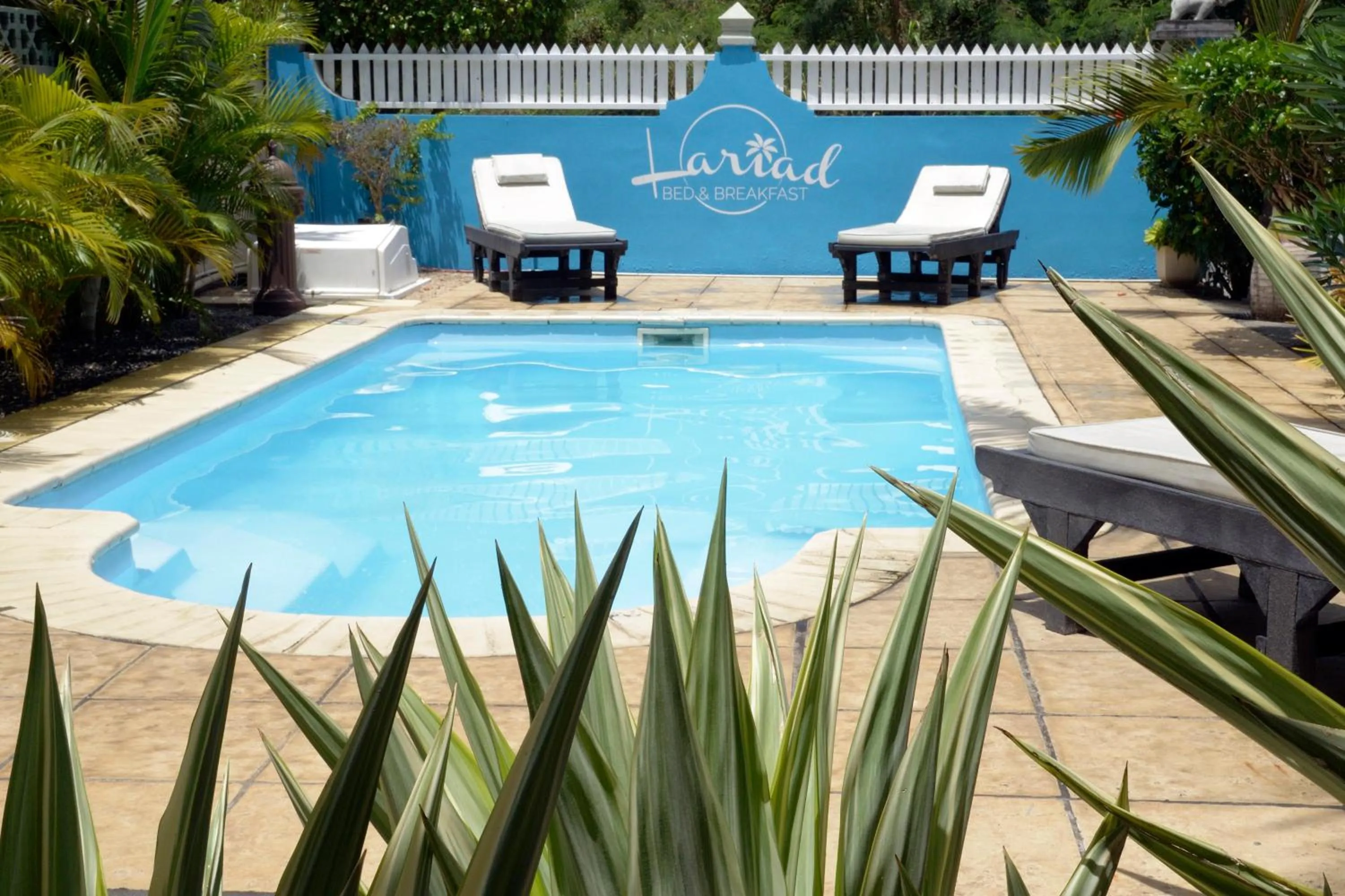 Pool view in Lariad BnB