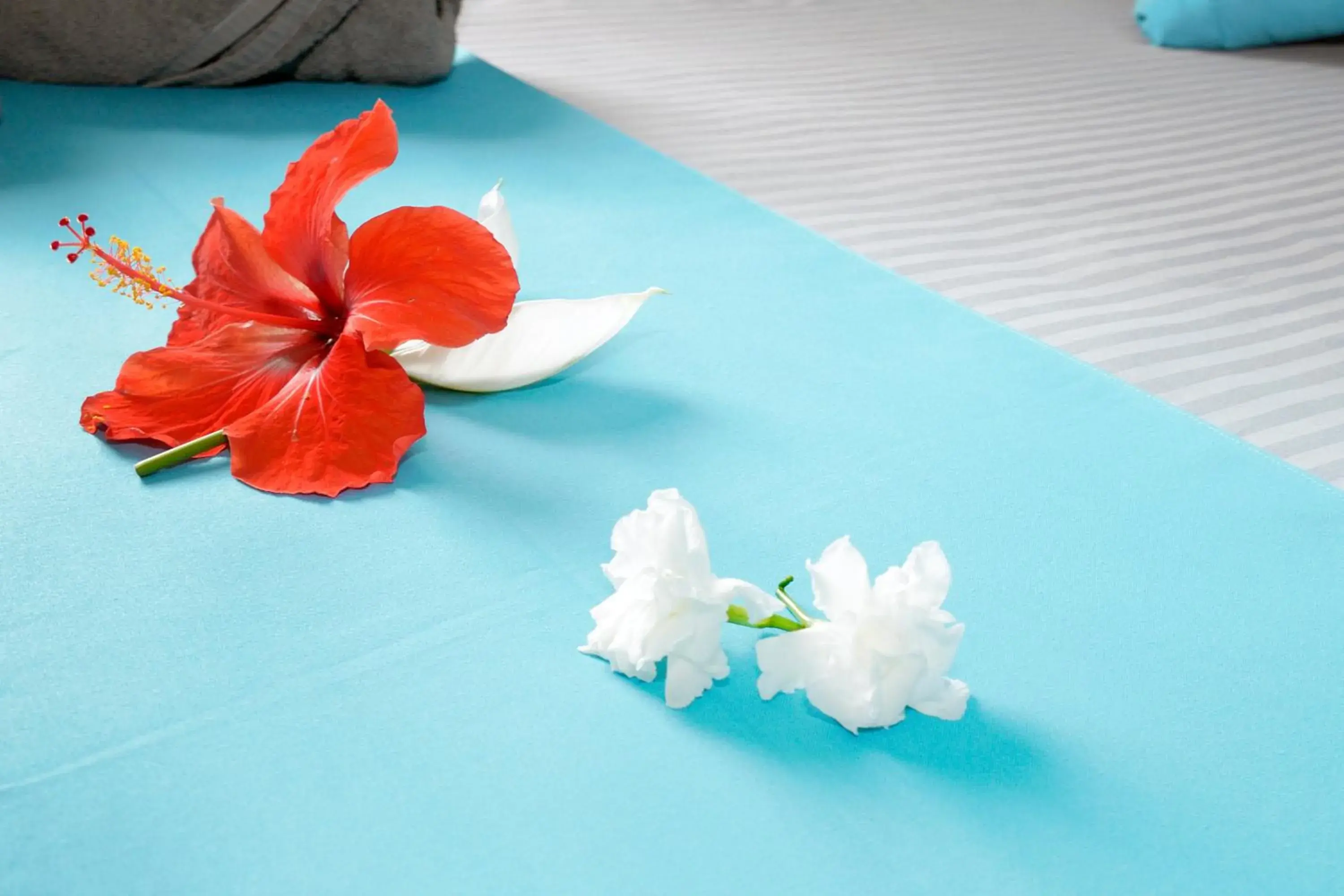 Standard Double Room in Lariad BnB Standard Double Room in Lariad BnB