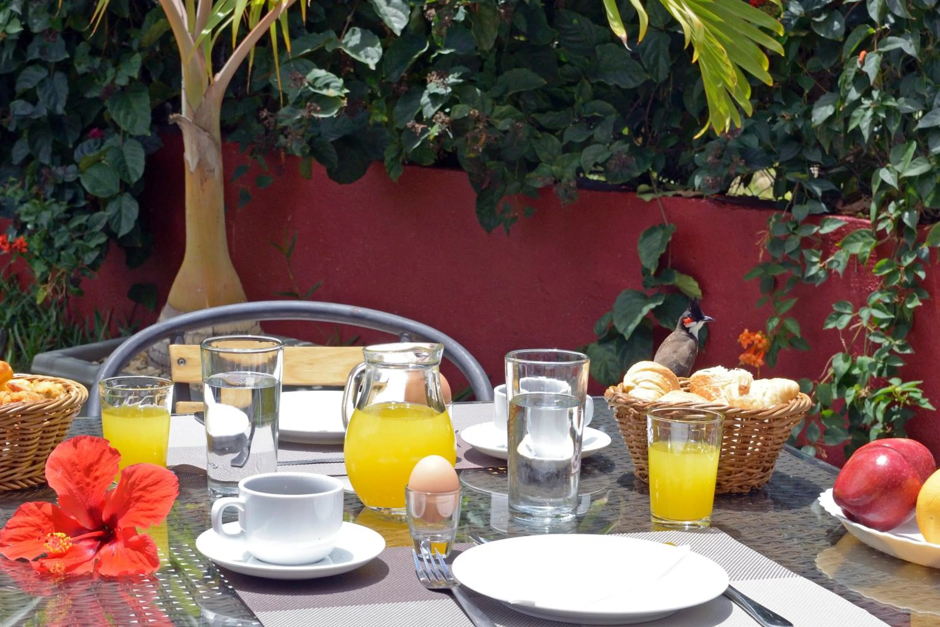 Food and drinks in Lariad BnB