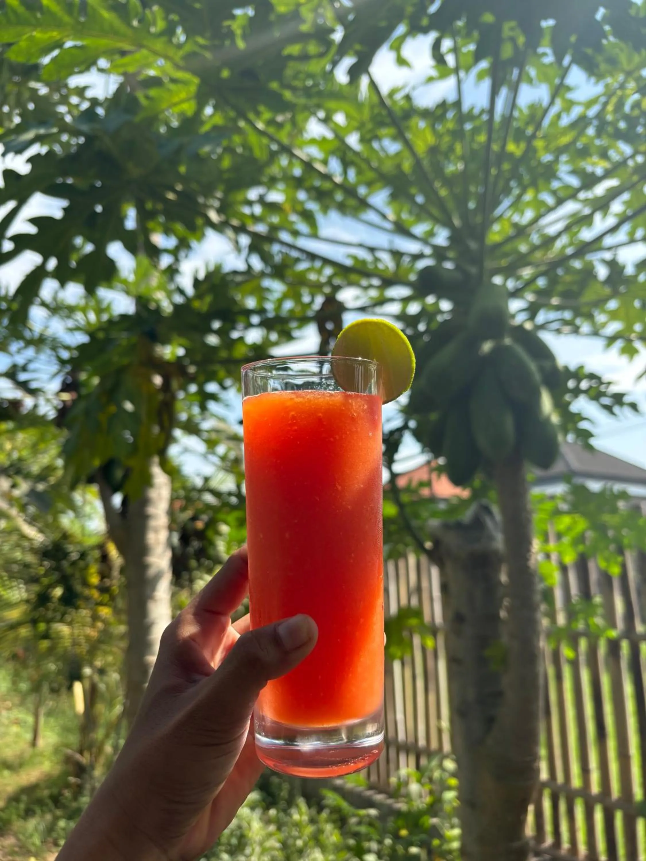 Food and drinks in Sriwedari House Keramas