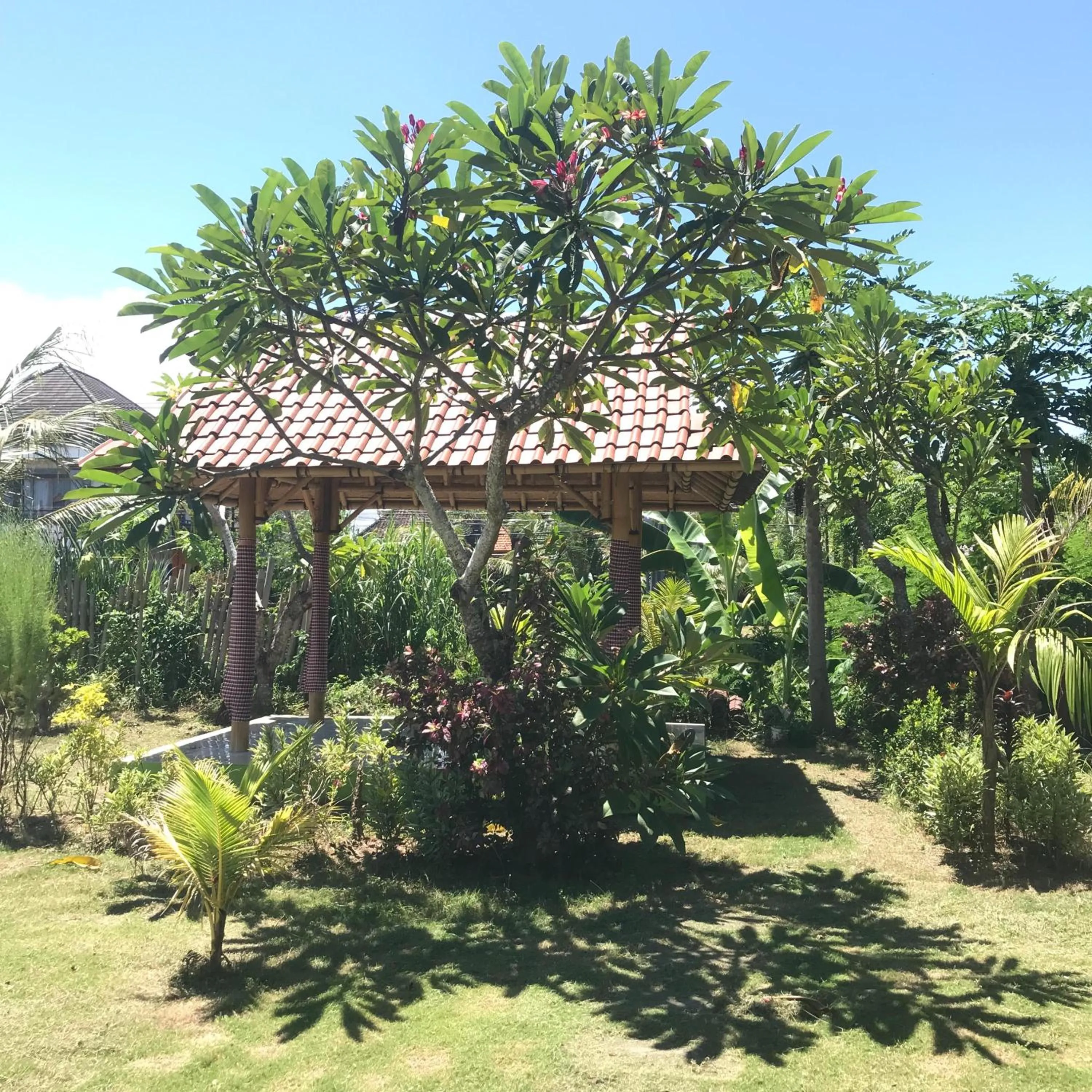 Spring in Sriwedari House Keramas