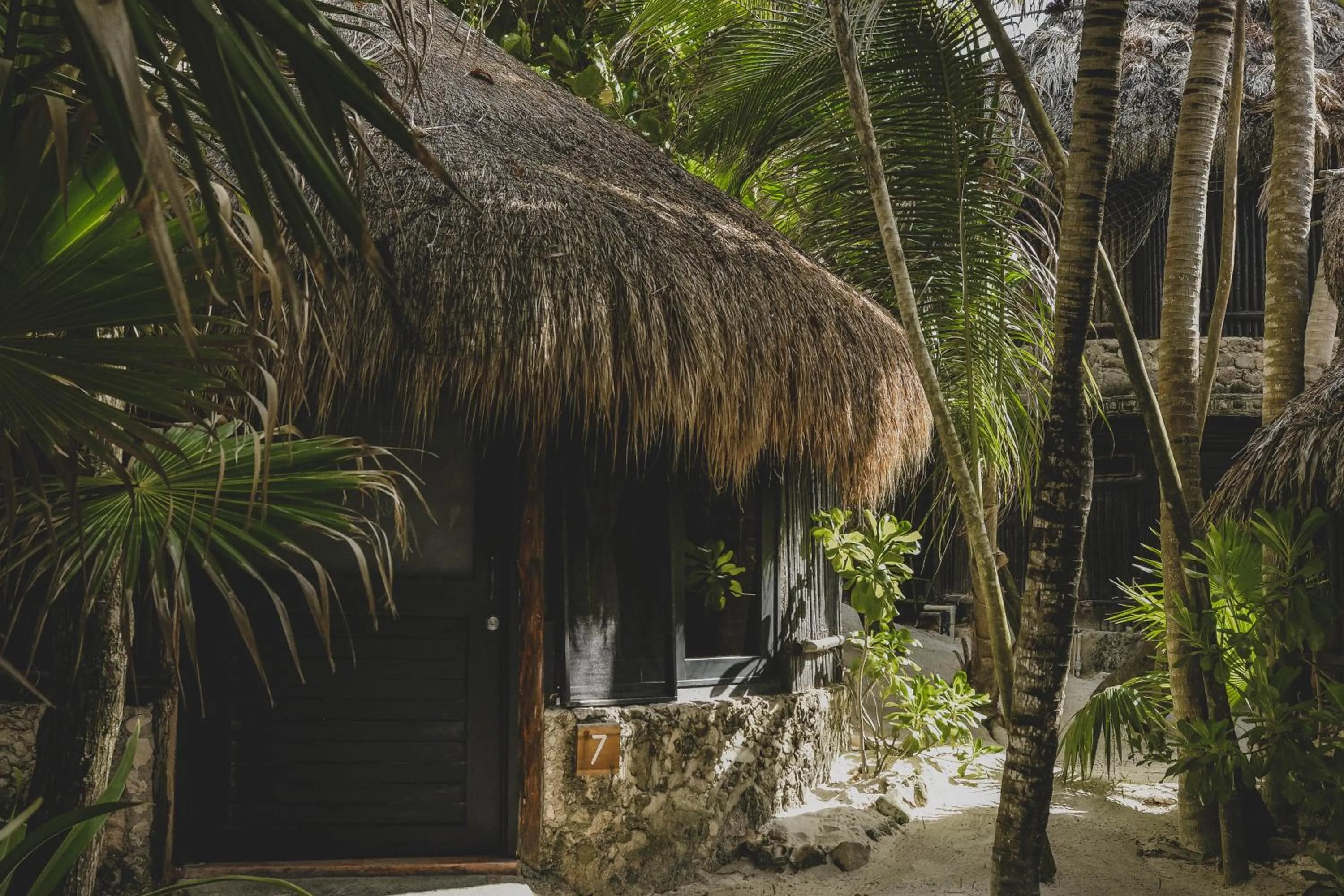 Off site in Diamante K - Inside Tulum National Park