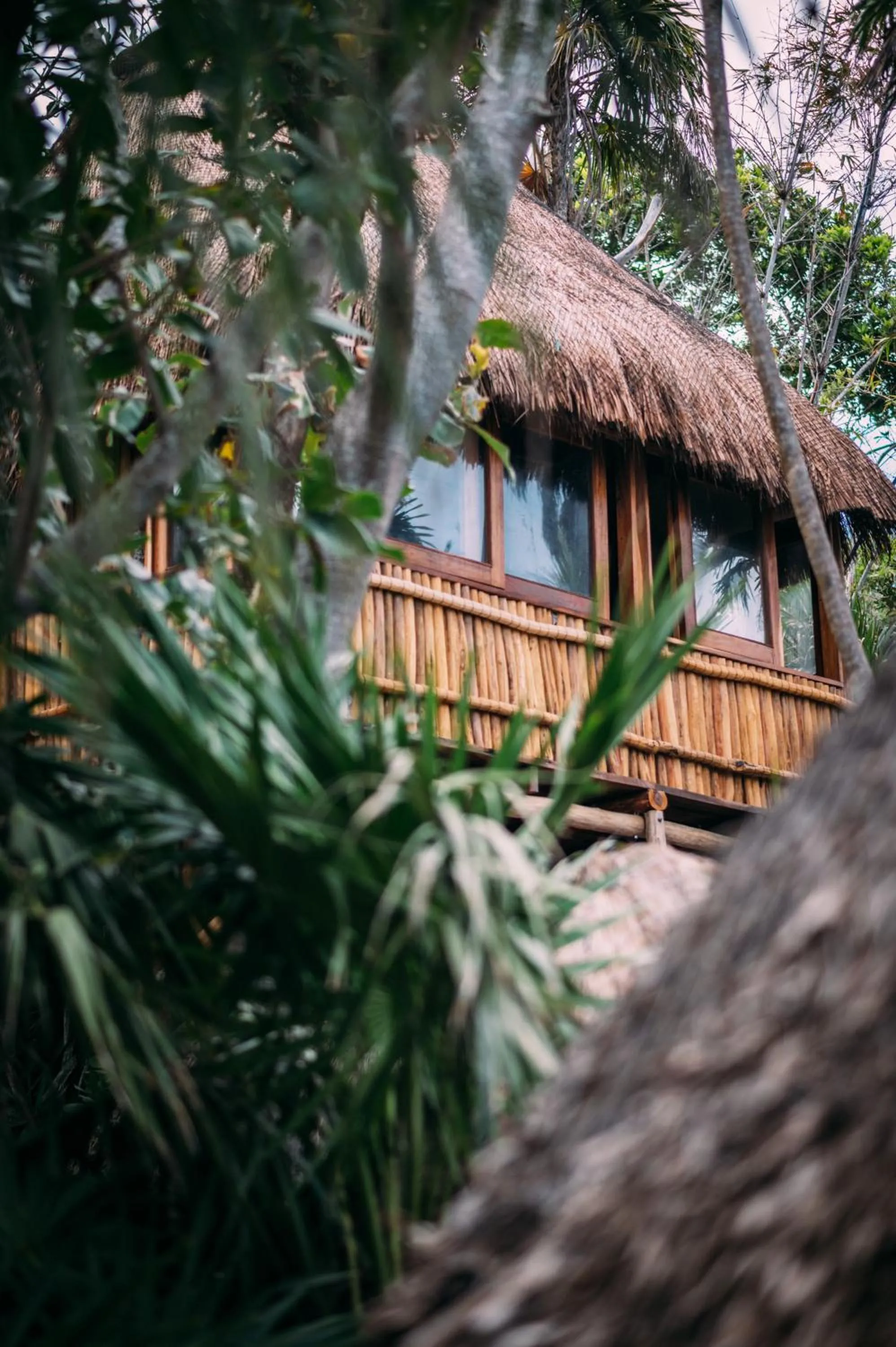 Property building in Diamante K - Inside Tulum National Park