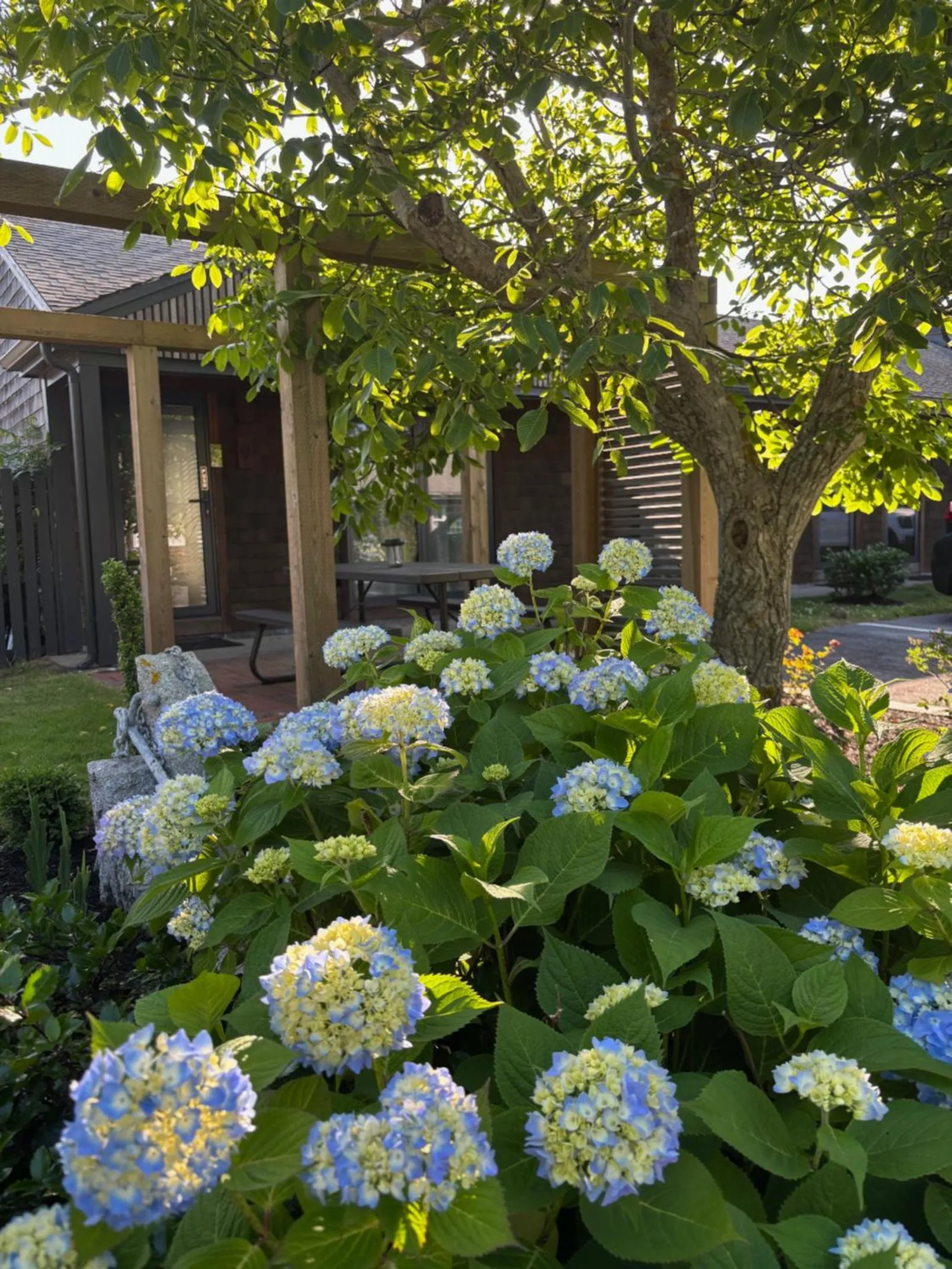 Patio in Cape Cod Veranda