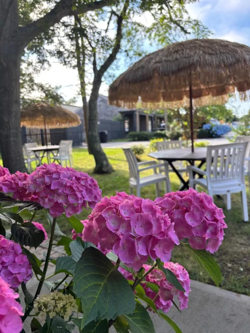 Garden view in Cape Cod Veranda