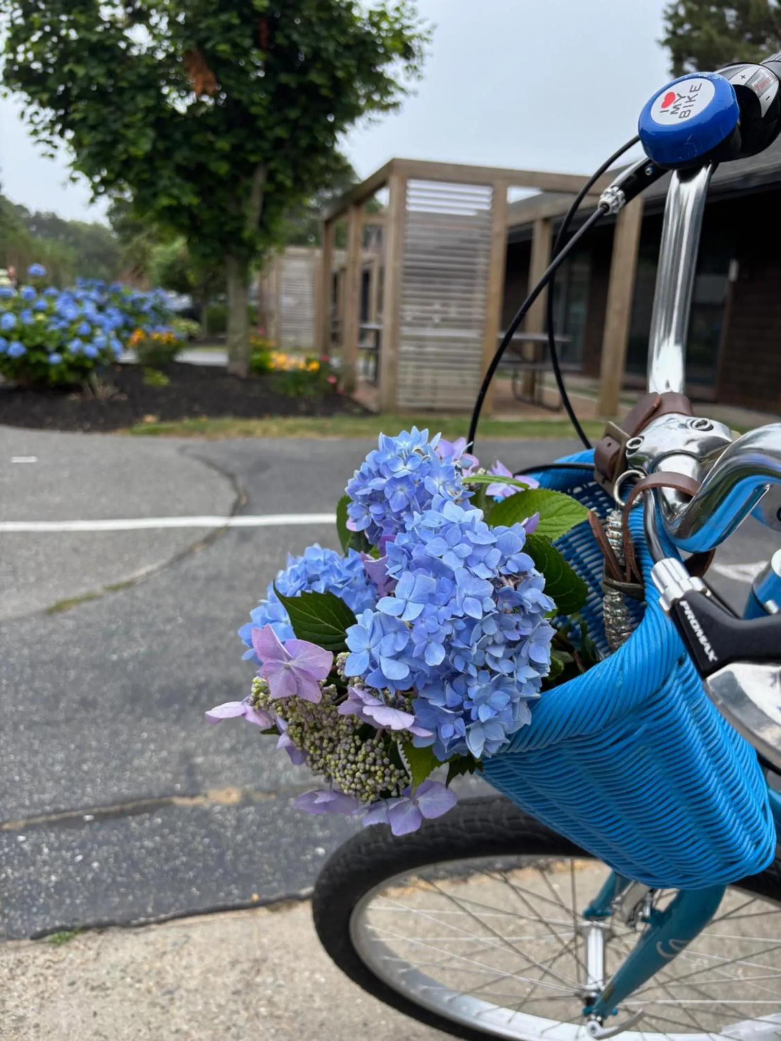 Patio in Cape Cod Veranda