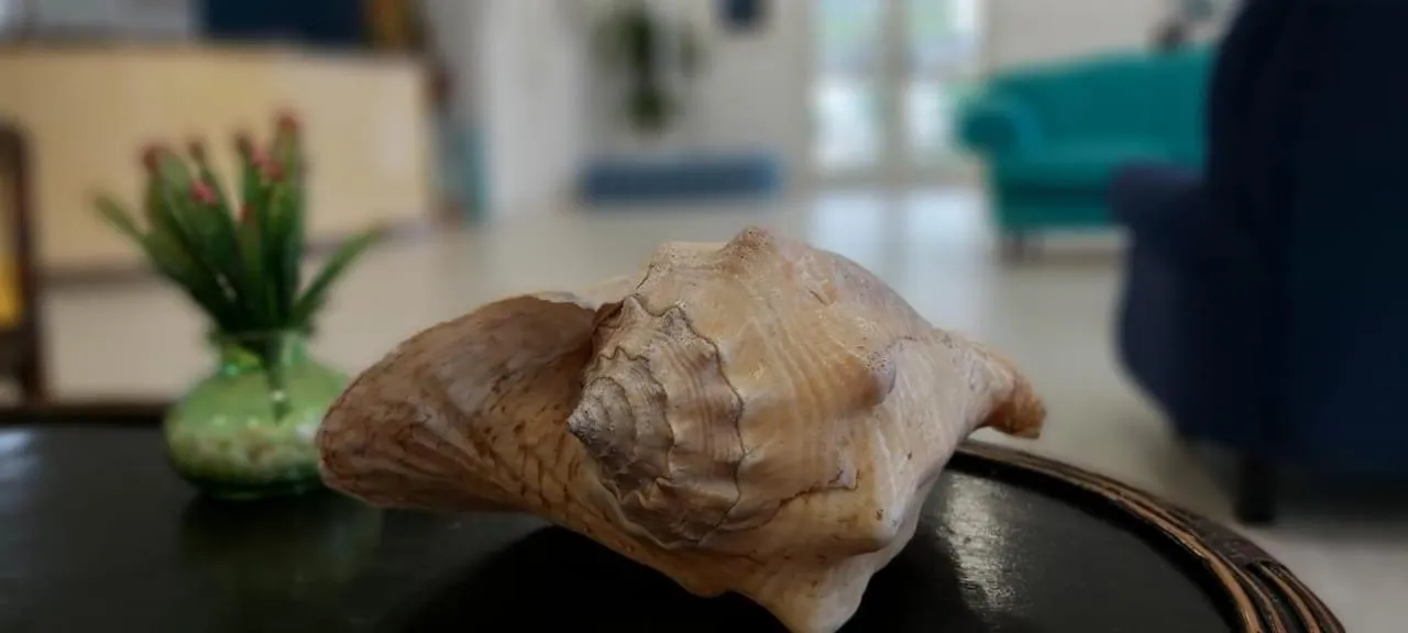 Decorative detail in Hotel Porto de Paz - Shantiniketan