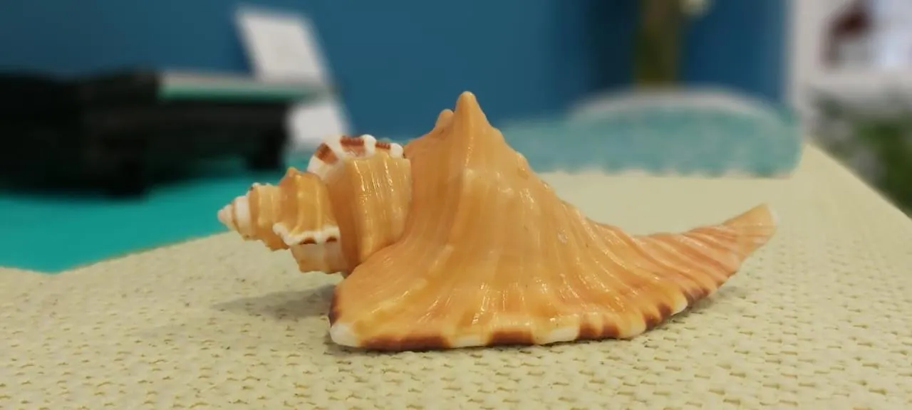 Decorative detail in Hotel Porto de Paz - Shantiniketan