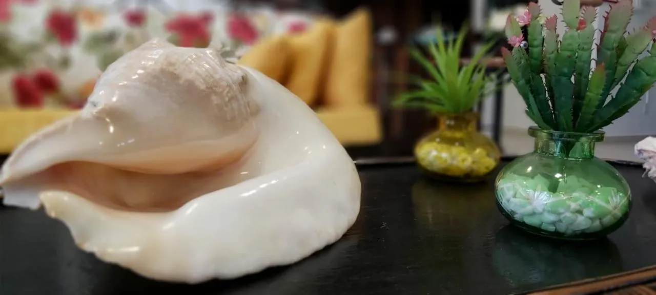 Decorative detail in Hotel Porto de Paz - Shantiniketan