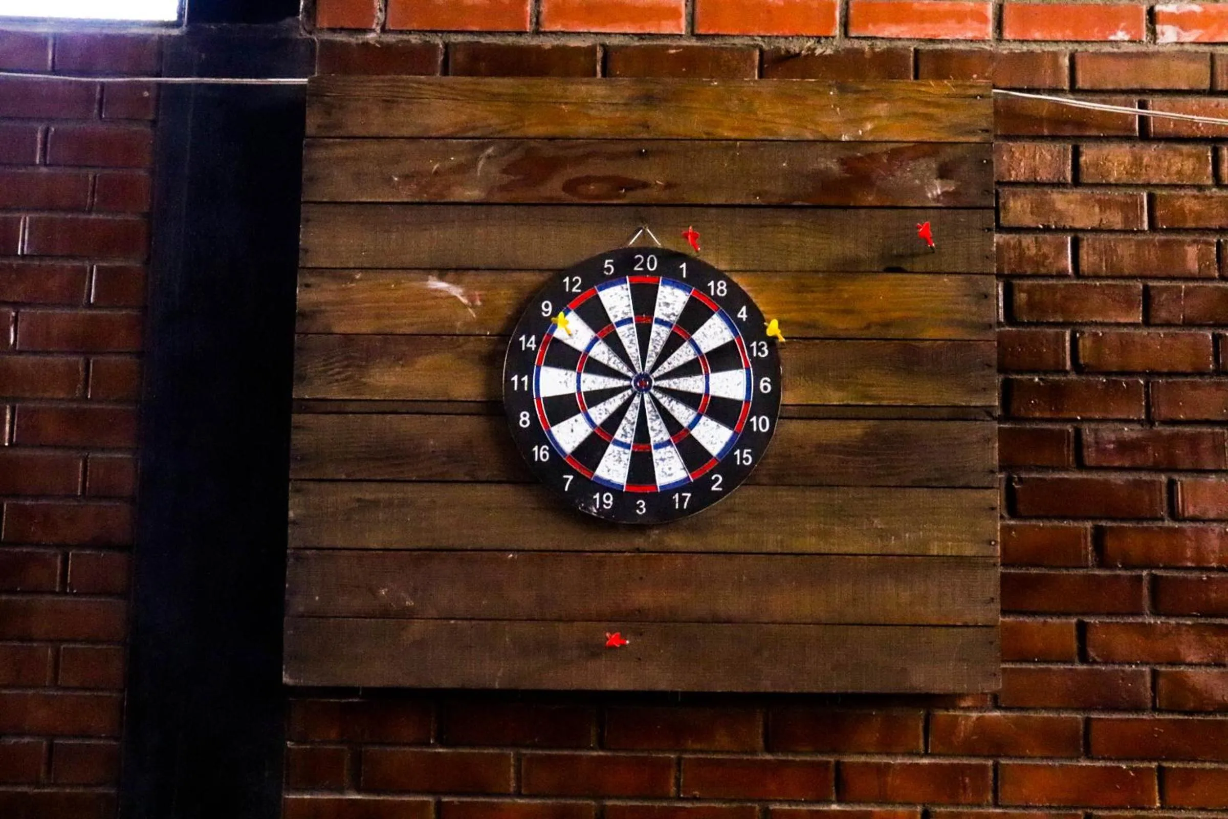 Darts in Lobo Hostel La Paz