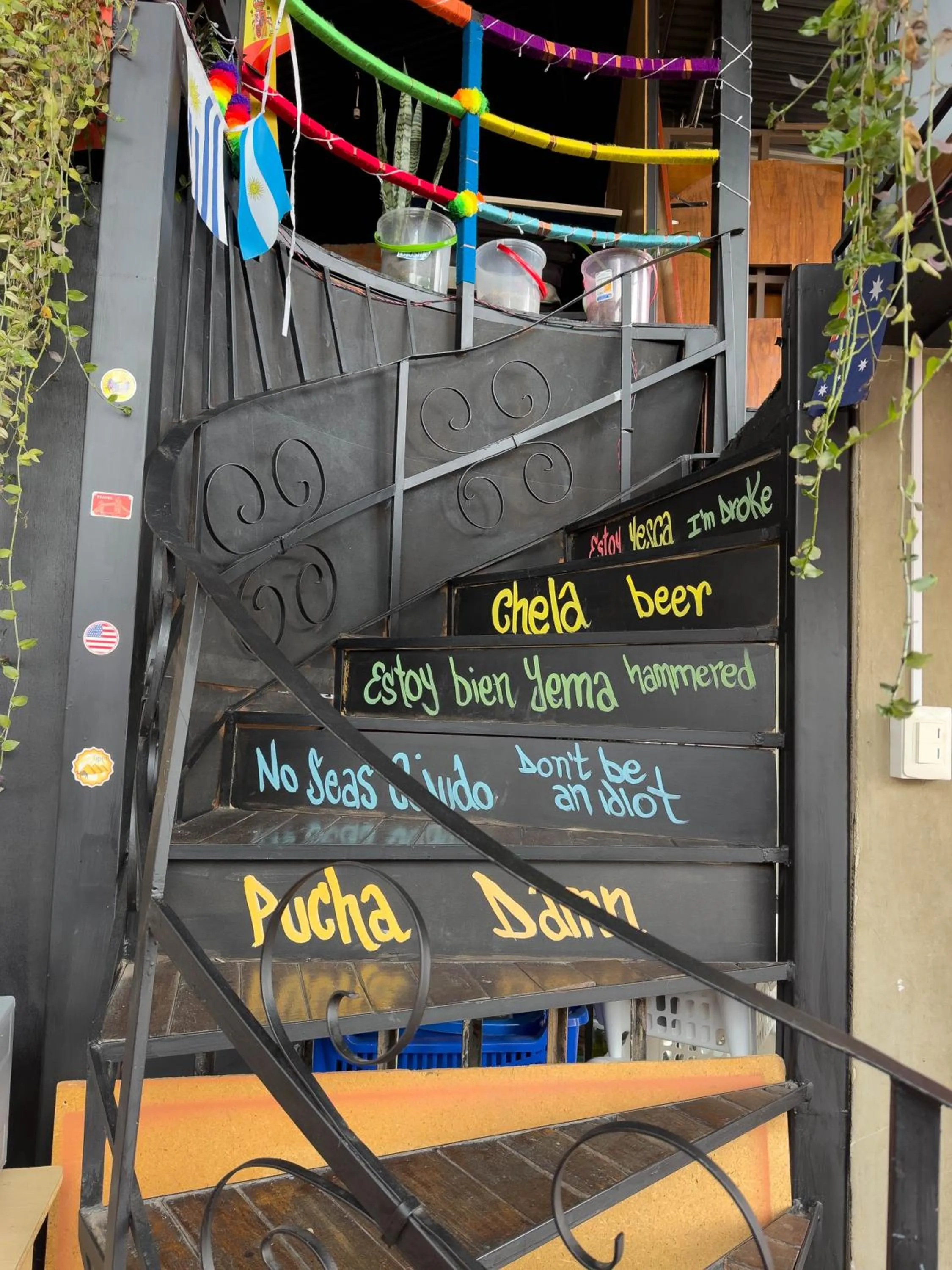 View (from property/room) in Lobo Hostel La Paz