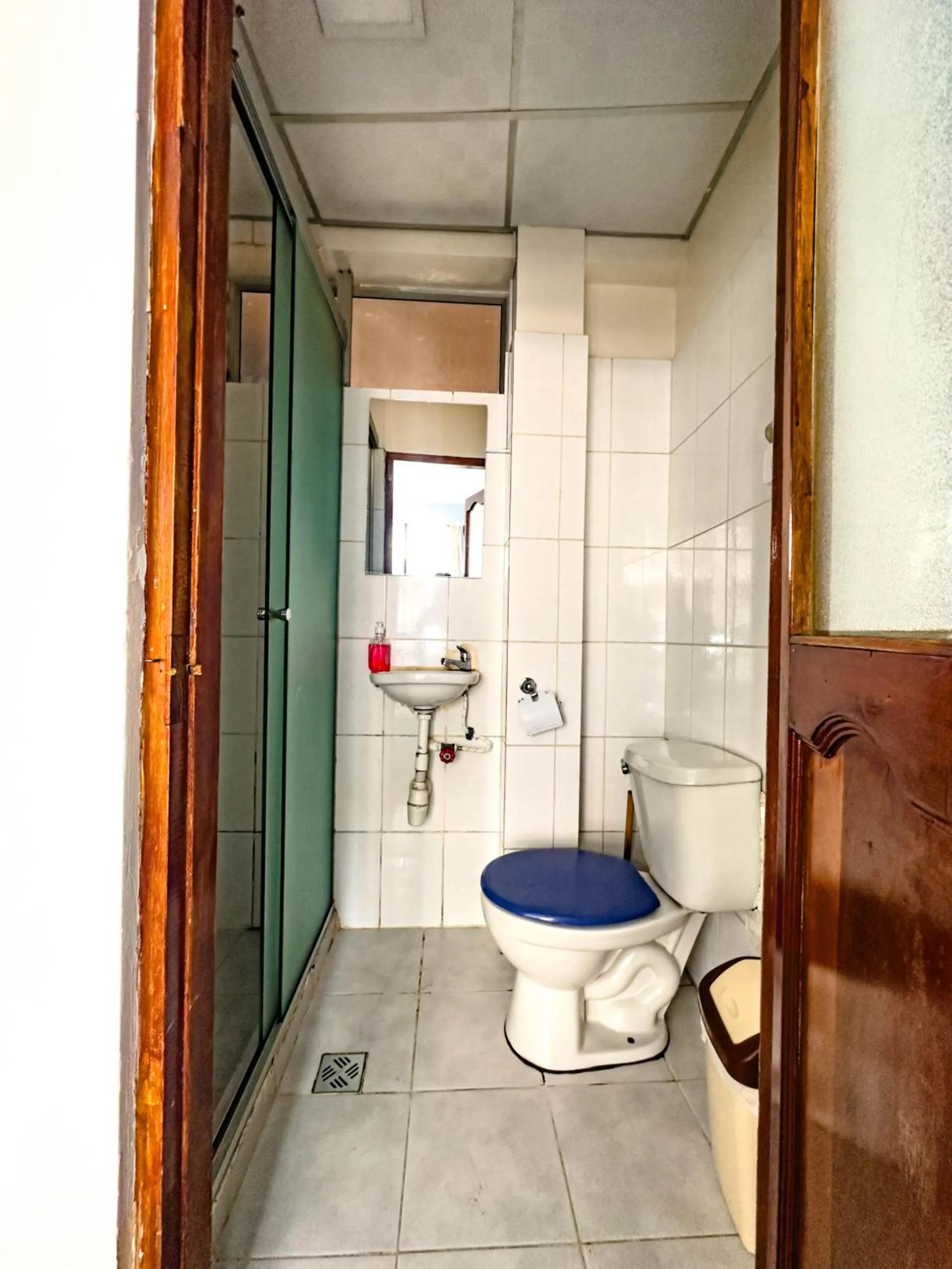 Shower in Lobo Hostel La Paz