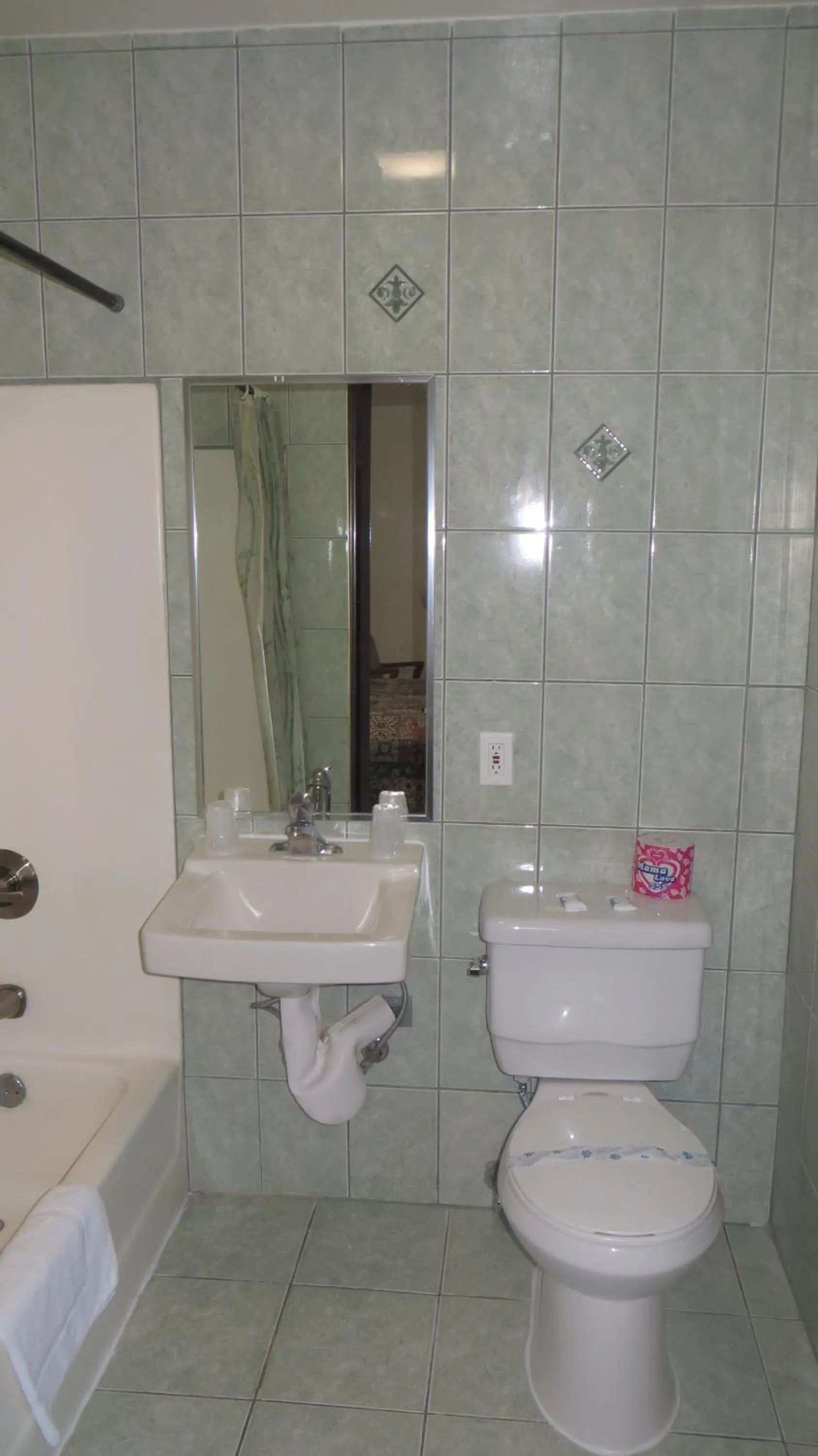 Bathroom in Eagle Rock Motel