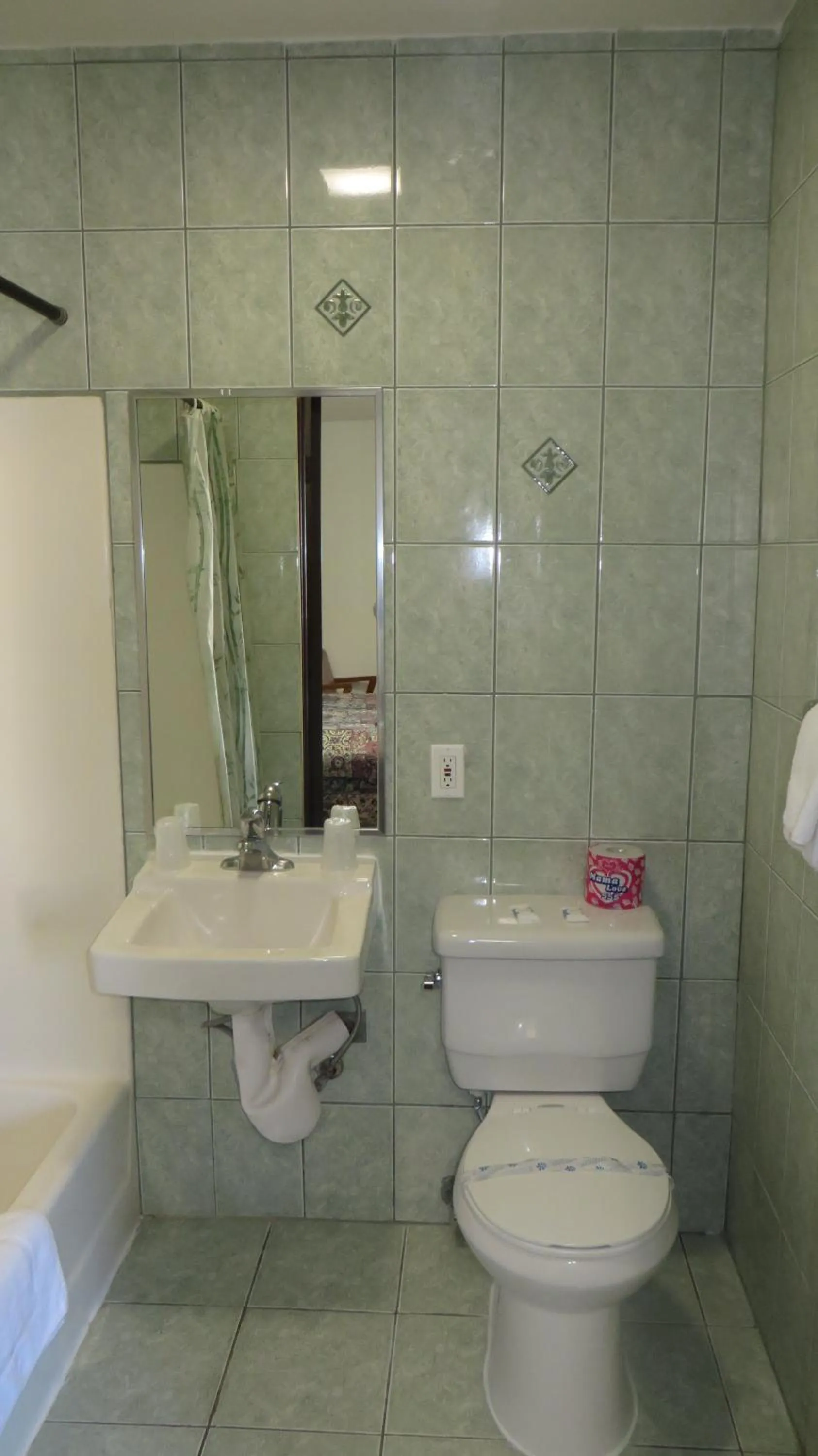 Bathroom in Eagle Rock Motel