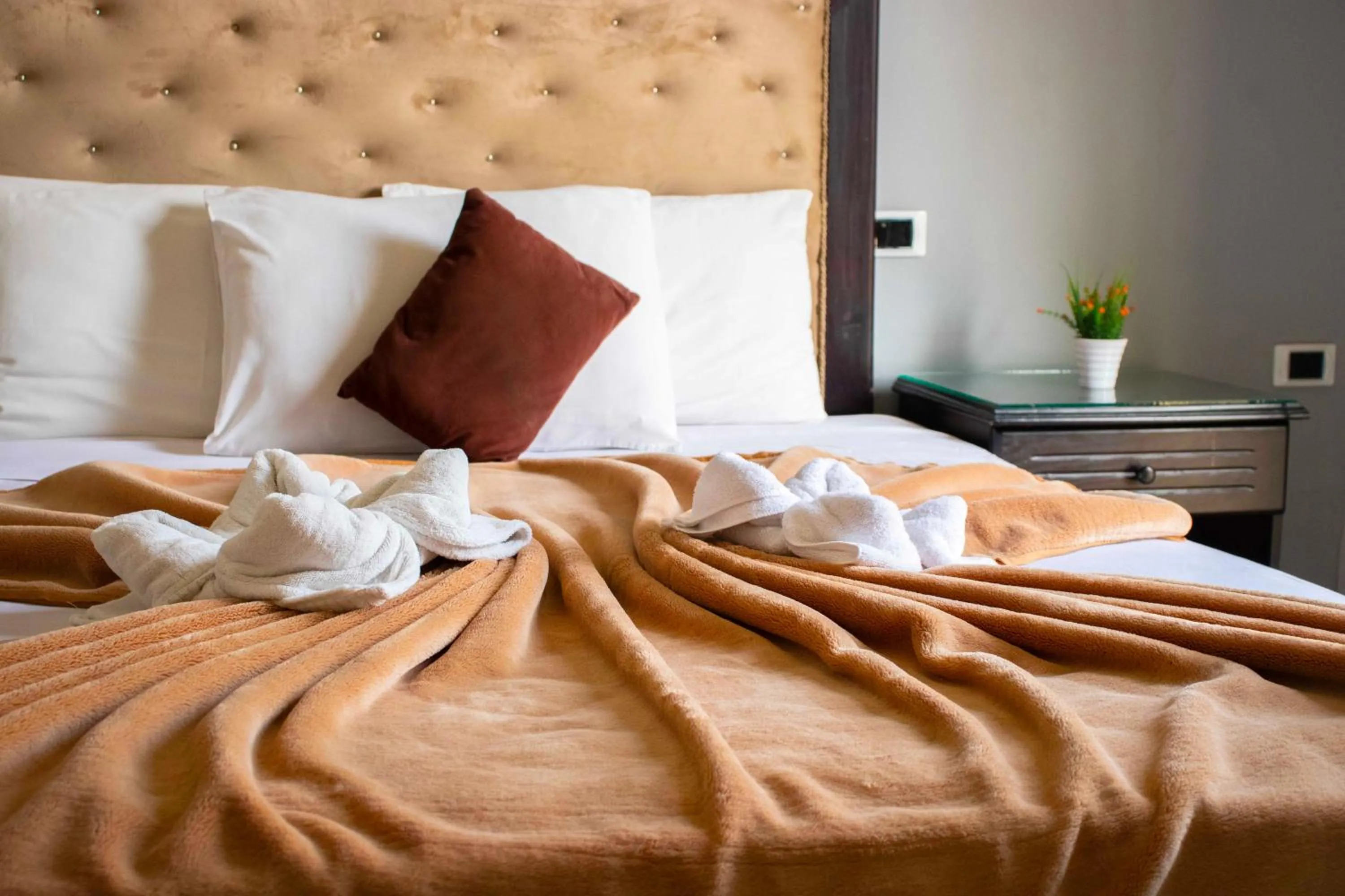 Cairo Paradise Hotel