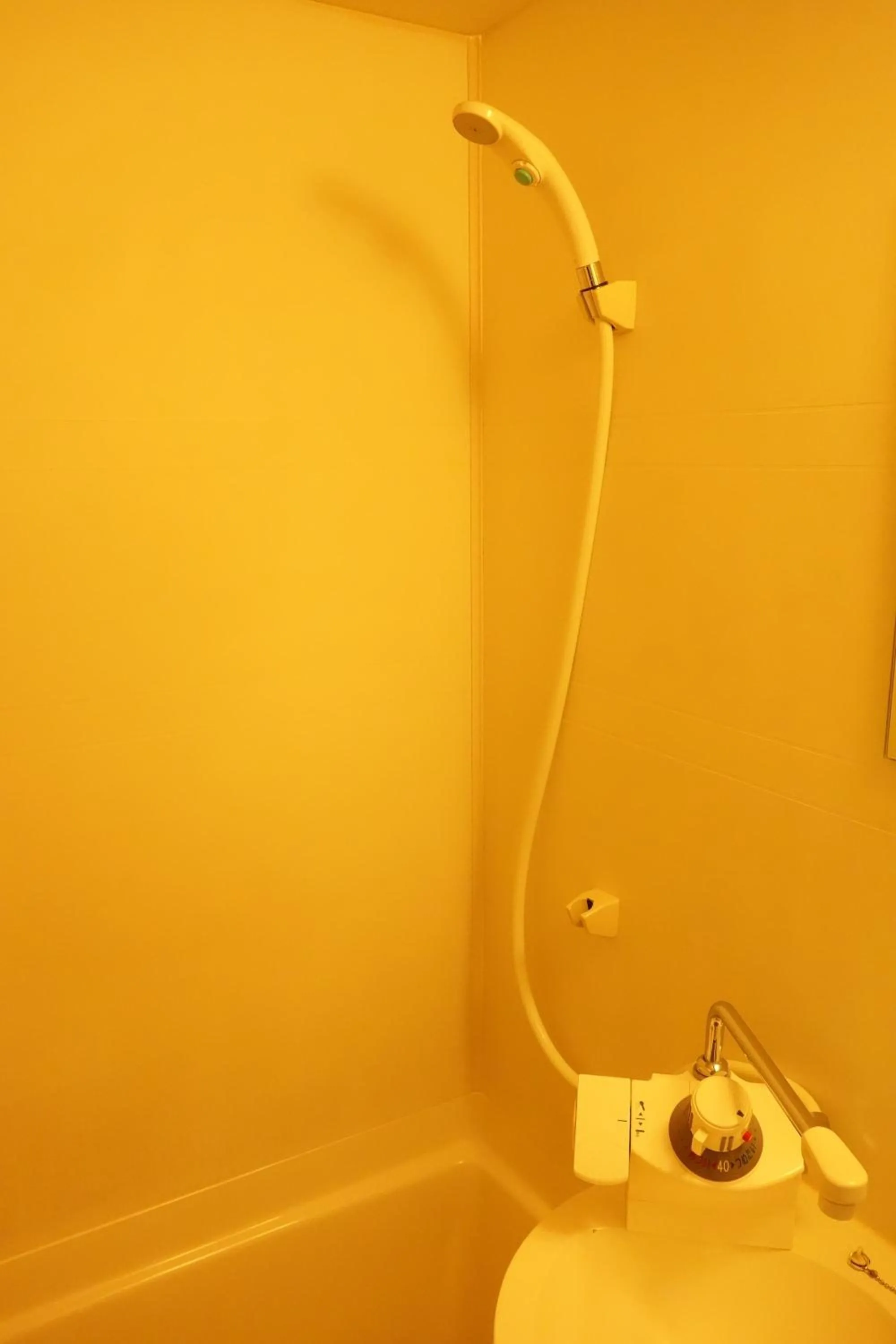 Shower in Hotel Abest Kochi