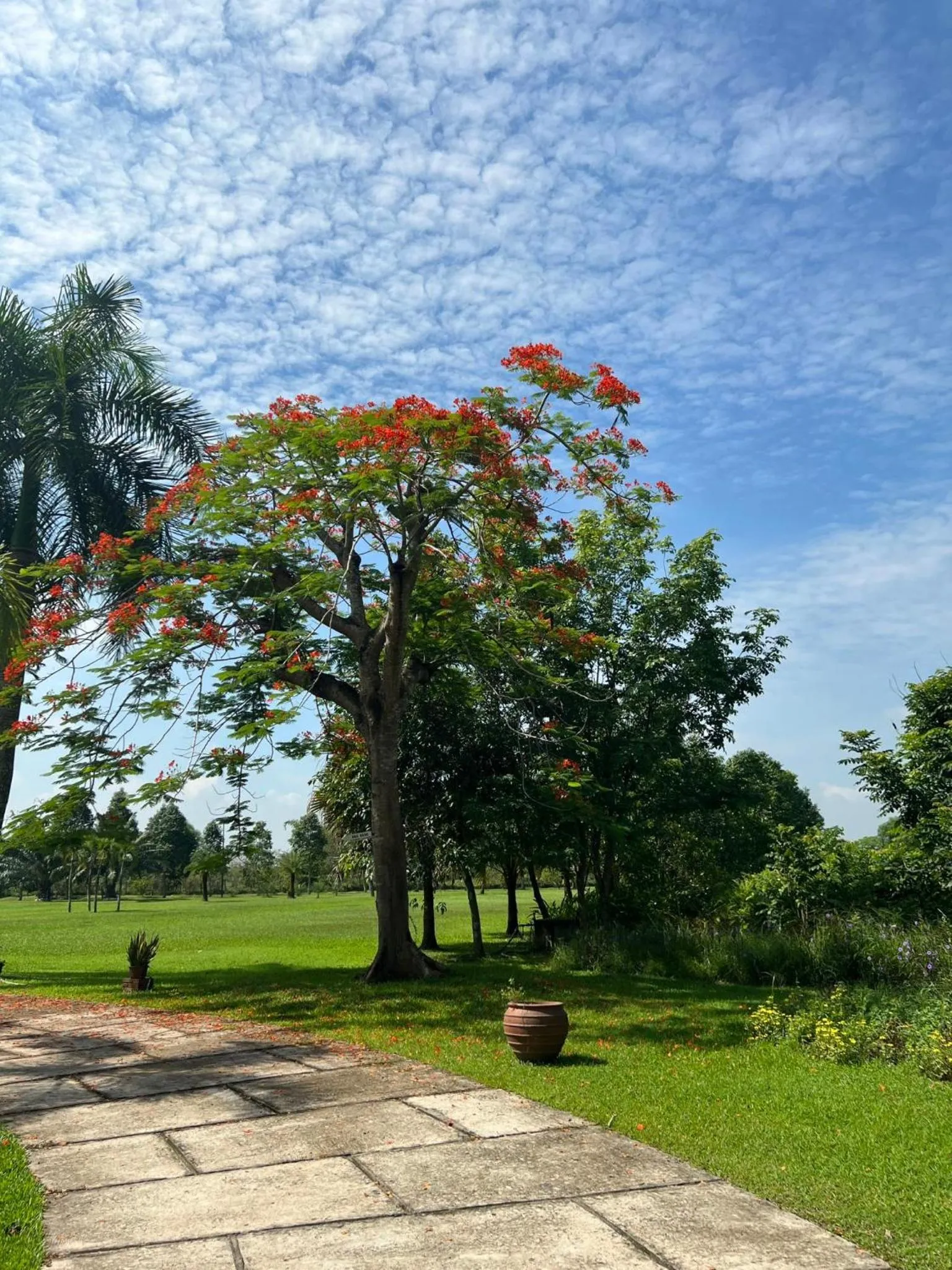 View (from property/room) in Les Hameaux de l'Orient