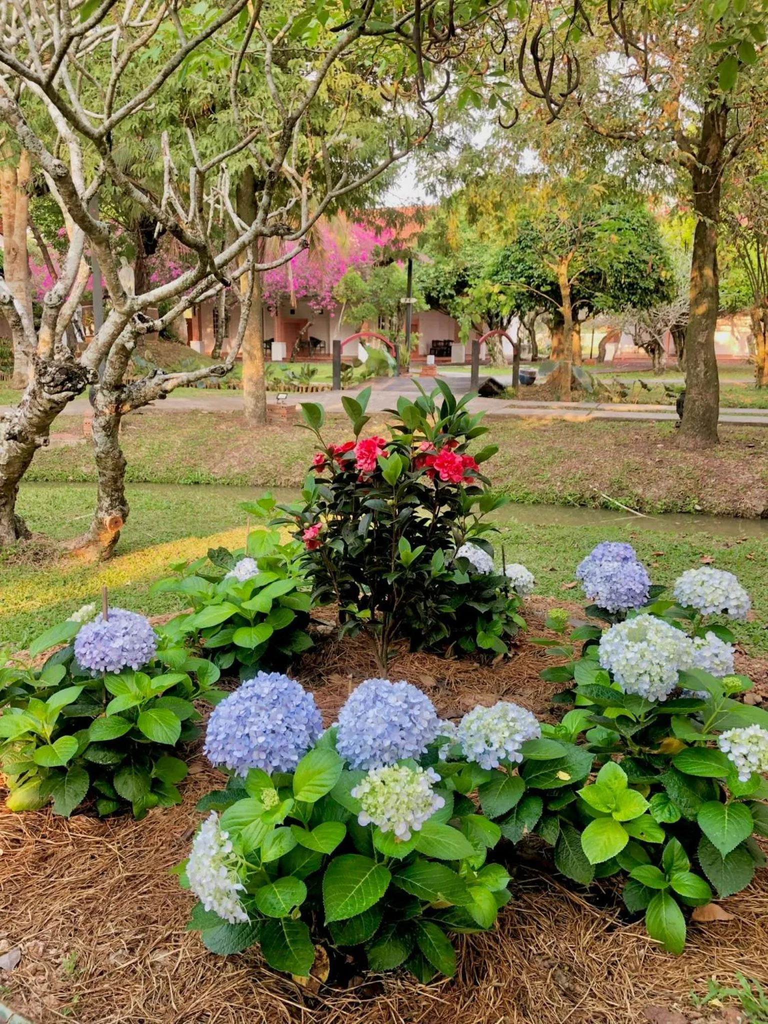 Garden view in Les Hameaux de l'Orient