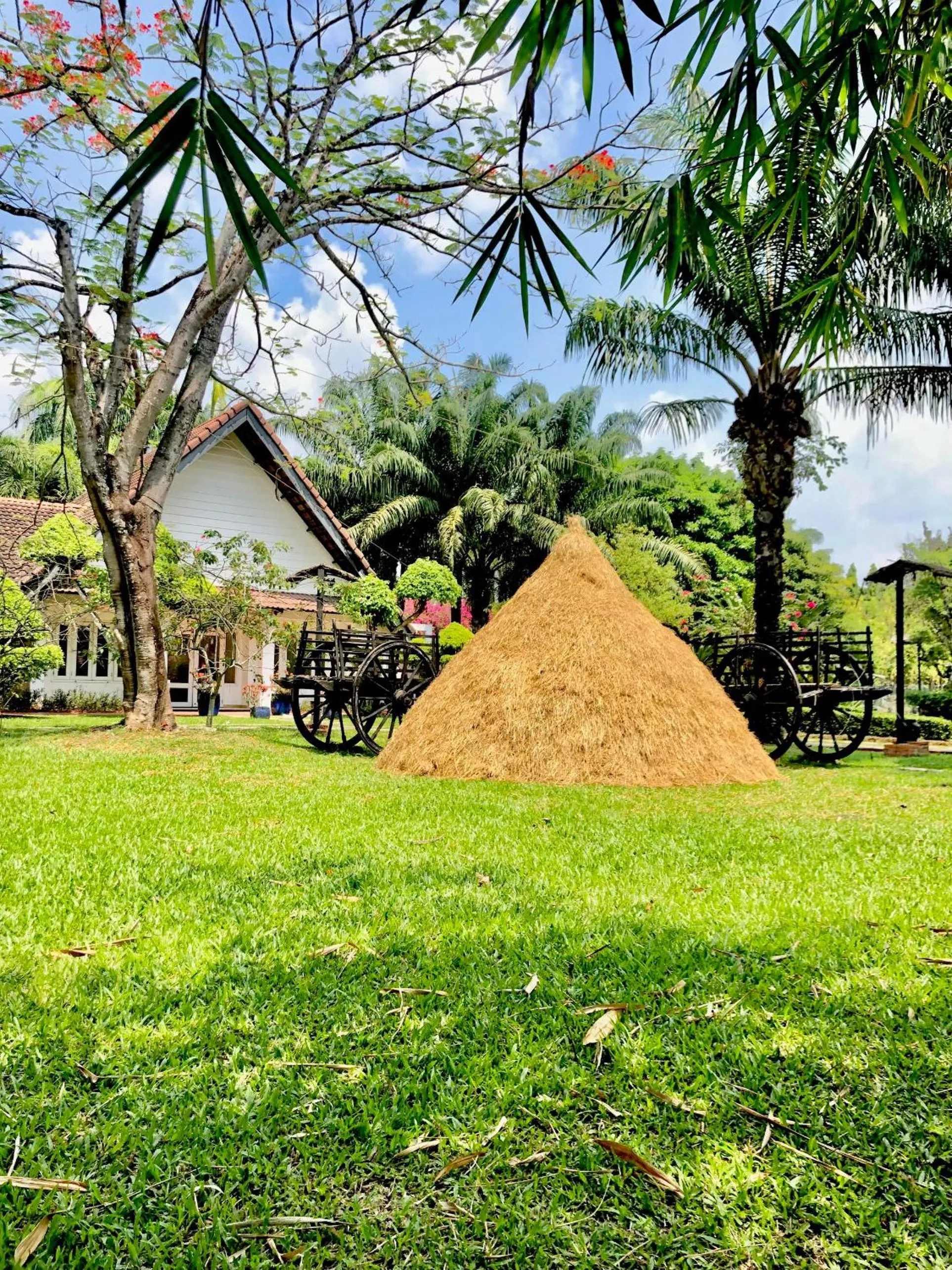 Garden in Les Hameaux de l'Orient