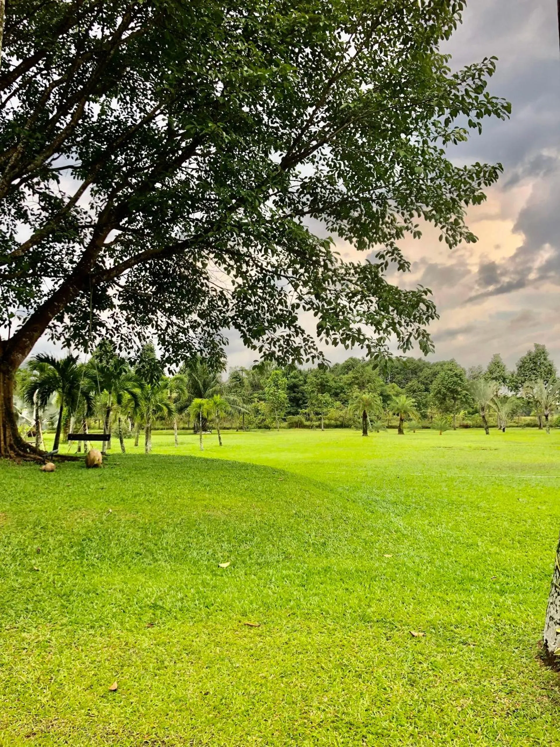 View (from property/room) in Les Hameaux de l'Orient