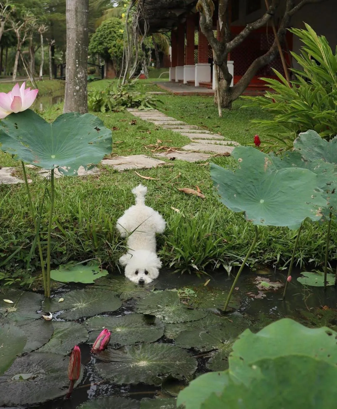 Les Hameaux de l'Orient