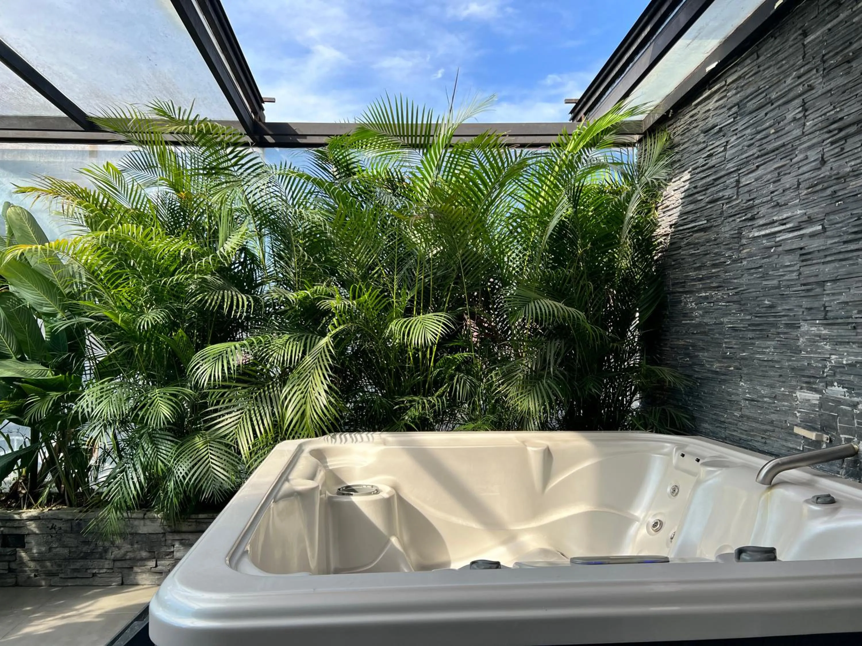 Garden in Hotel 47 Medellin Center