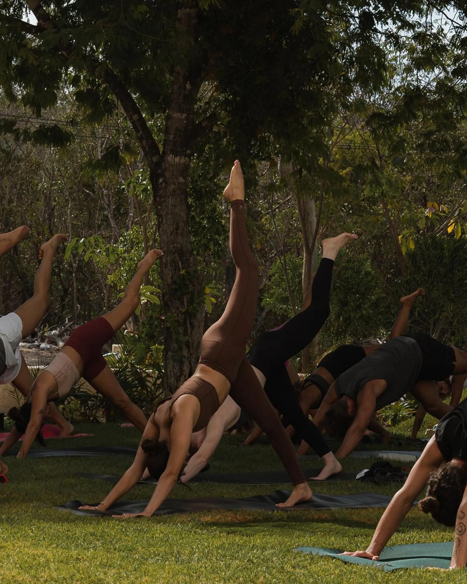 Activities in Bacab Tulum