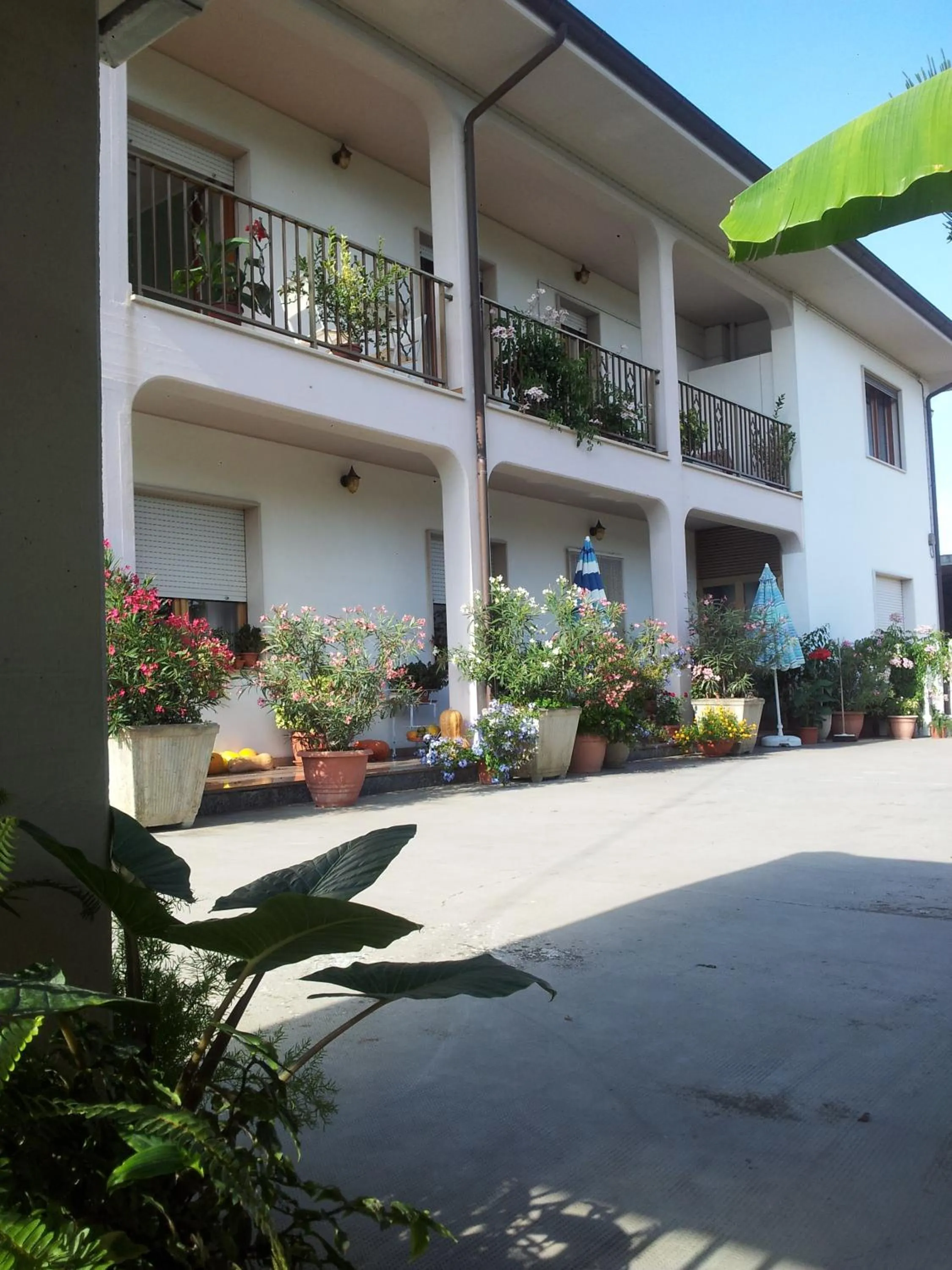 Facade/entrance in B&B La Casa di Angelica