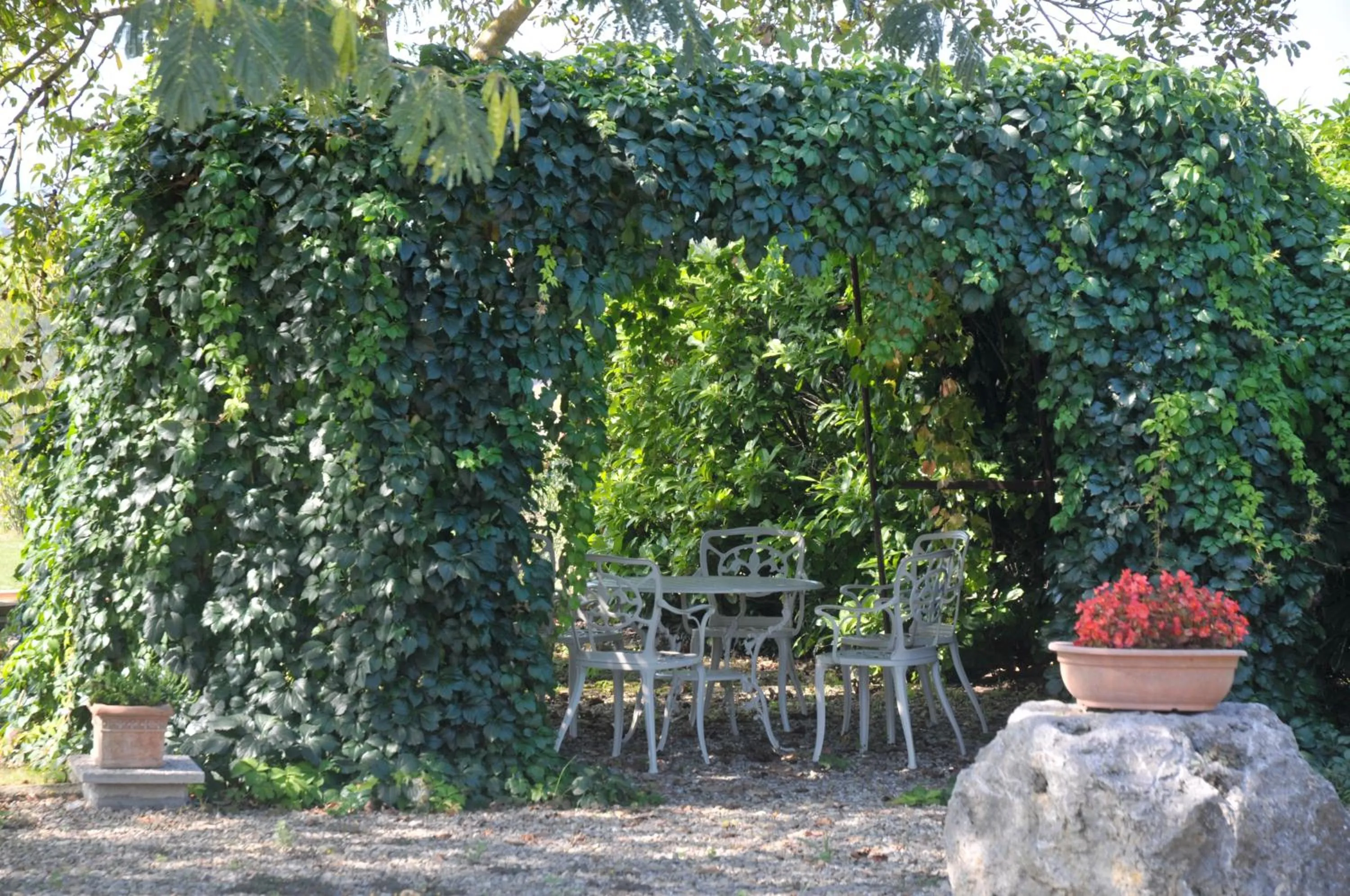 Patio in Podere Lornanino