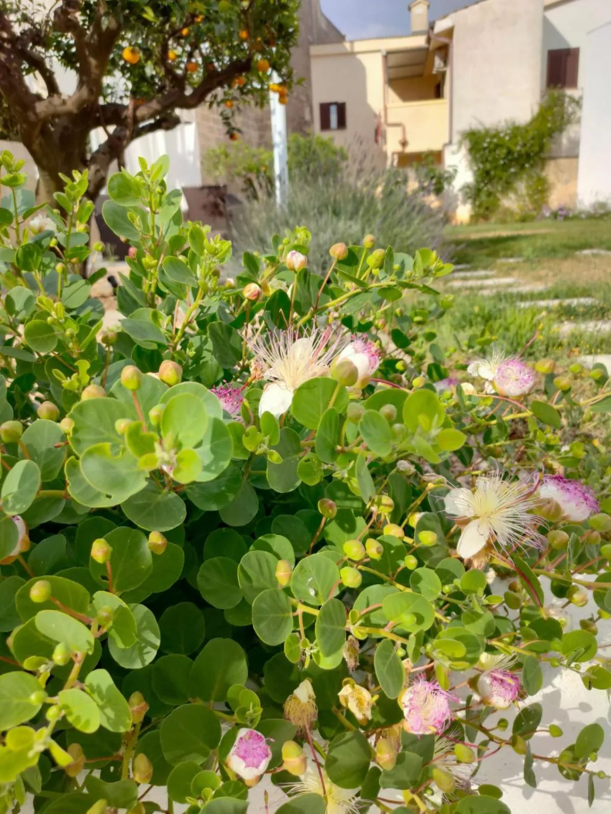 Day in Corte Mercurio B&B