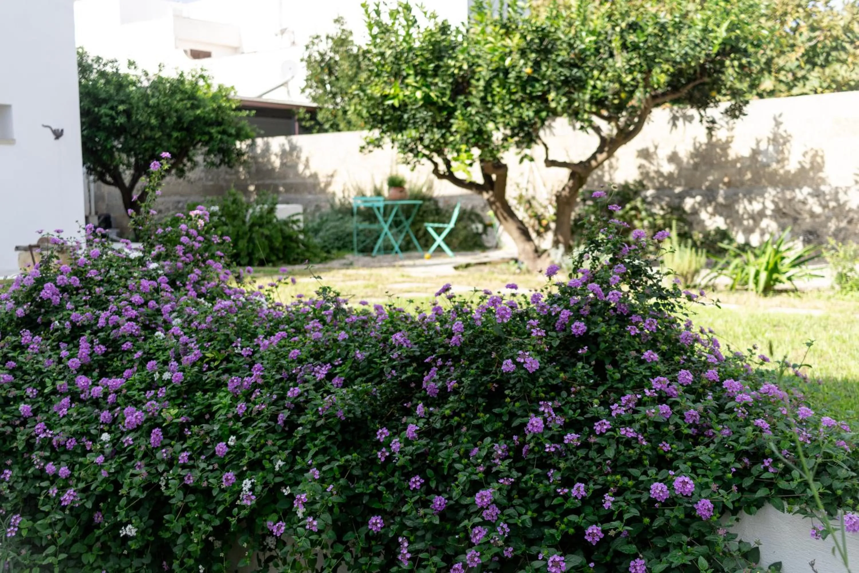 Day in Corte Mercurio B&B