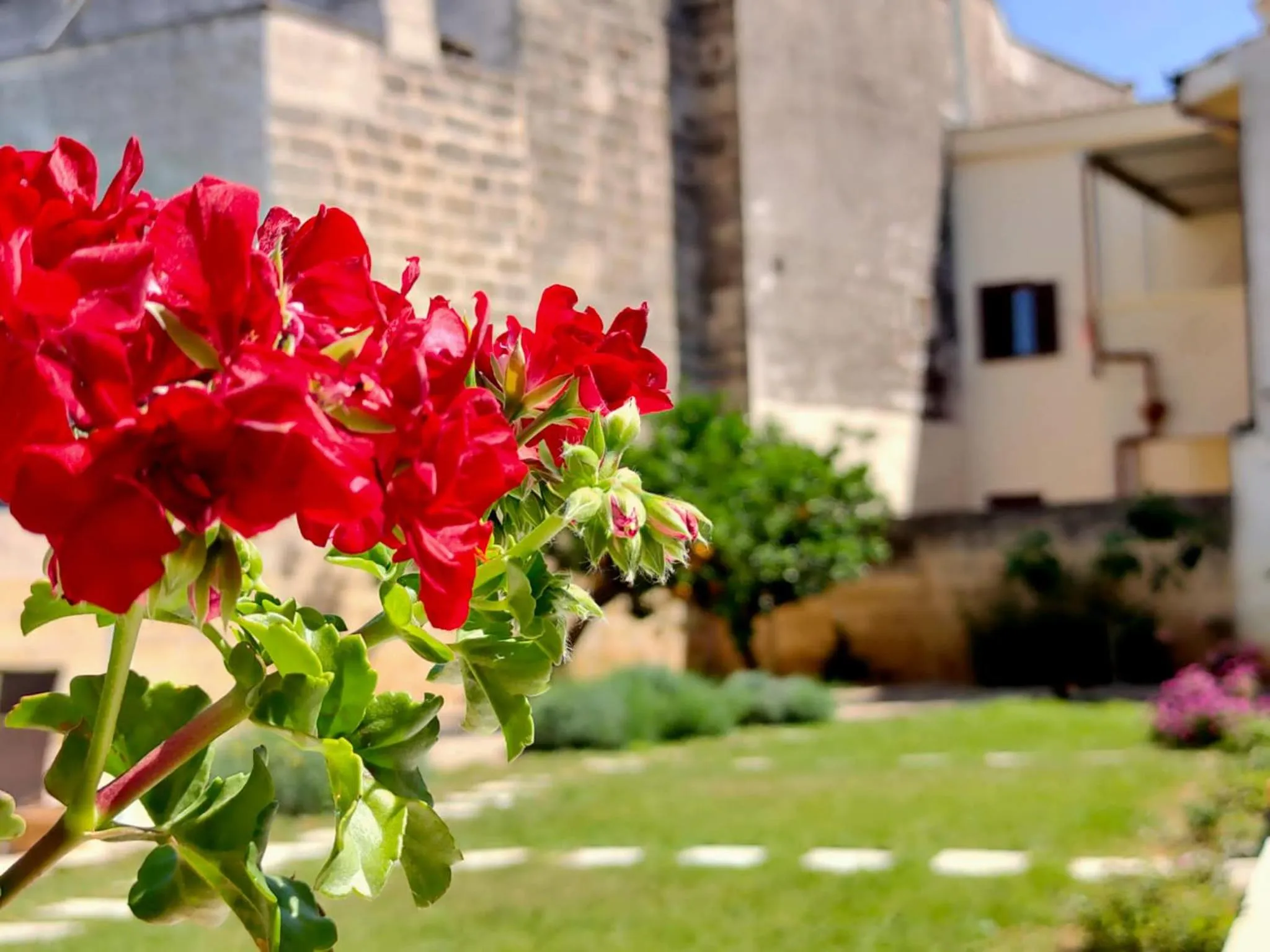 Spring in Corte Mercurio B&B