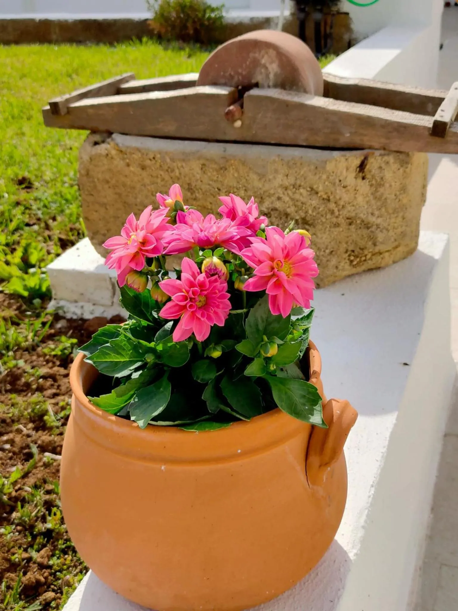 Spring in Corte Mercurio B&B