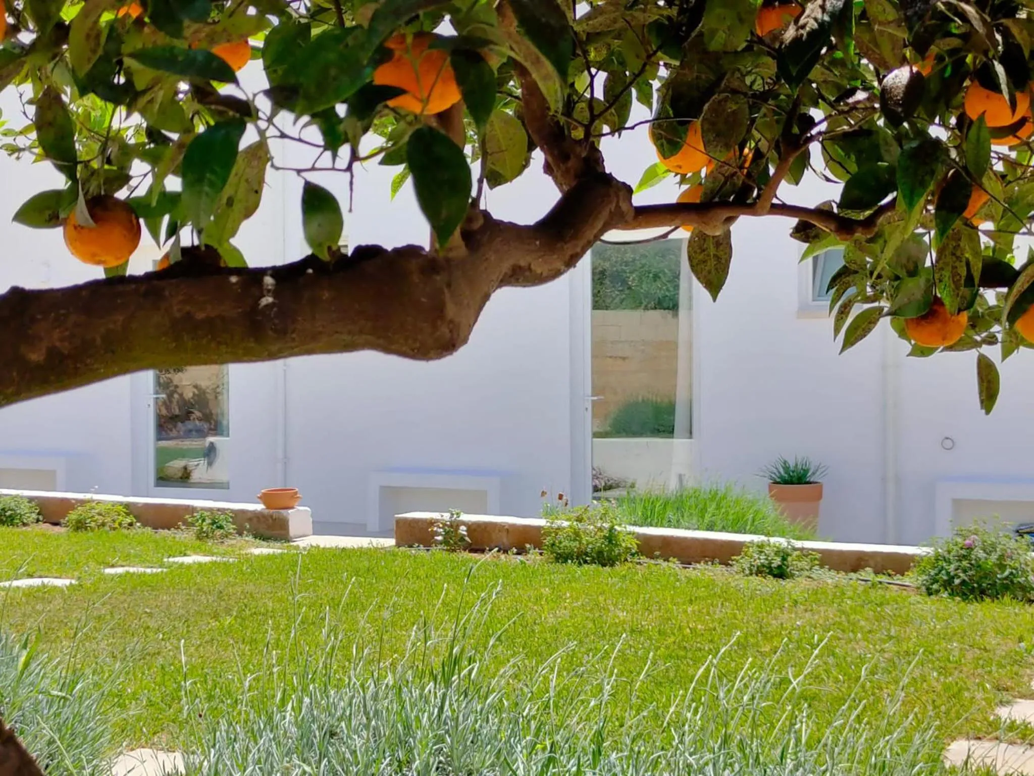 Spring in Corte Mercurio B&B