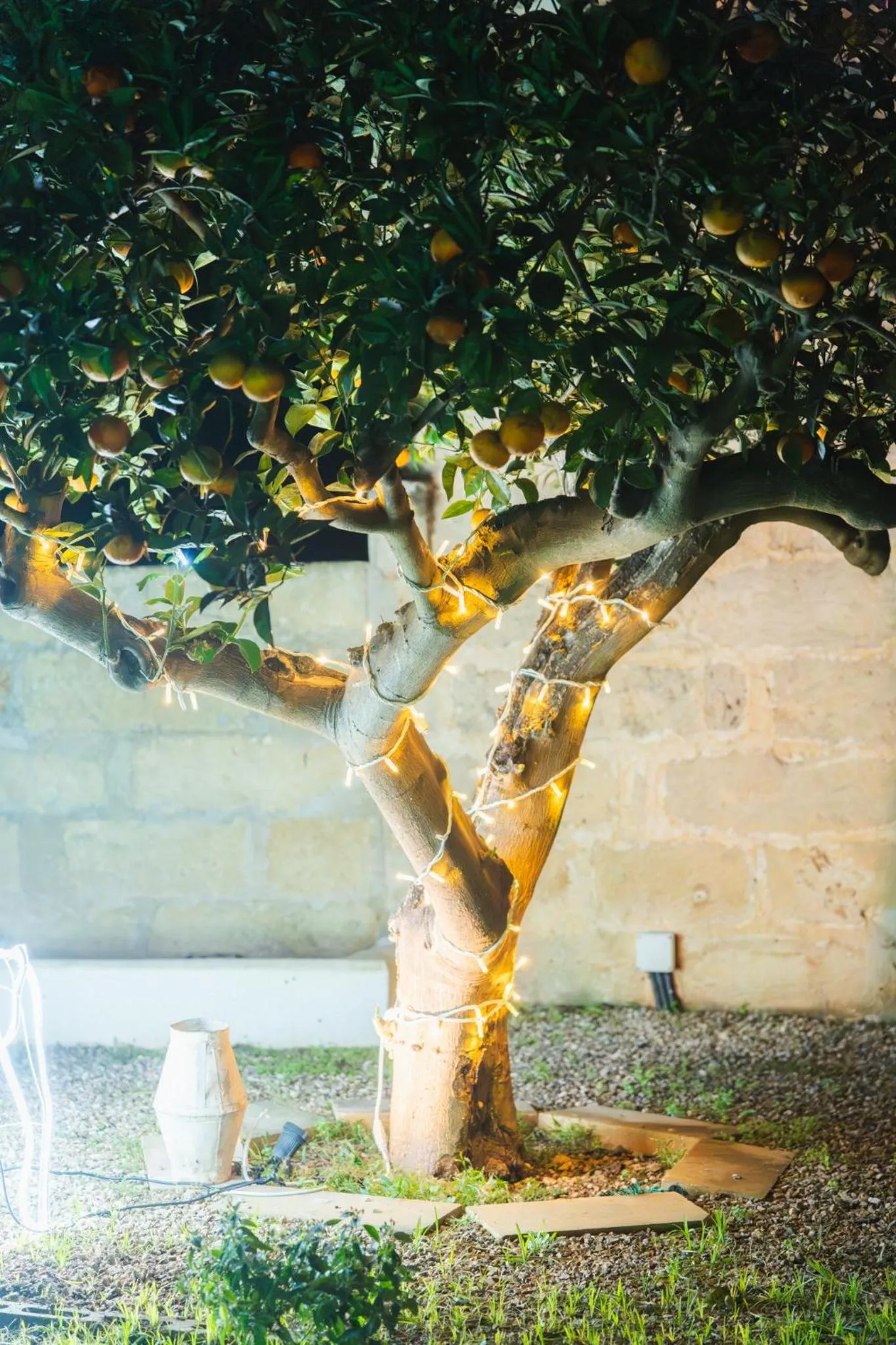 Garden in Corte Mercurio B&B