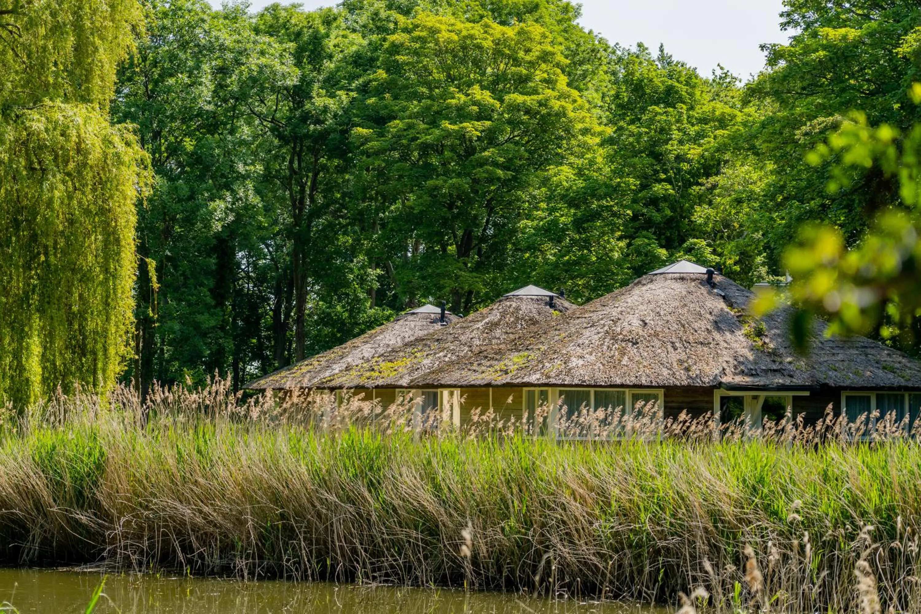 Buitenplaats Iepenoord