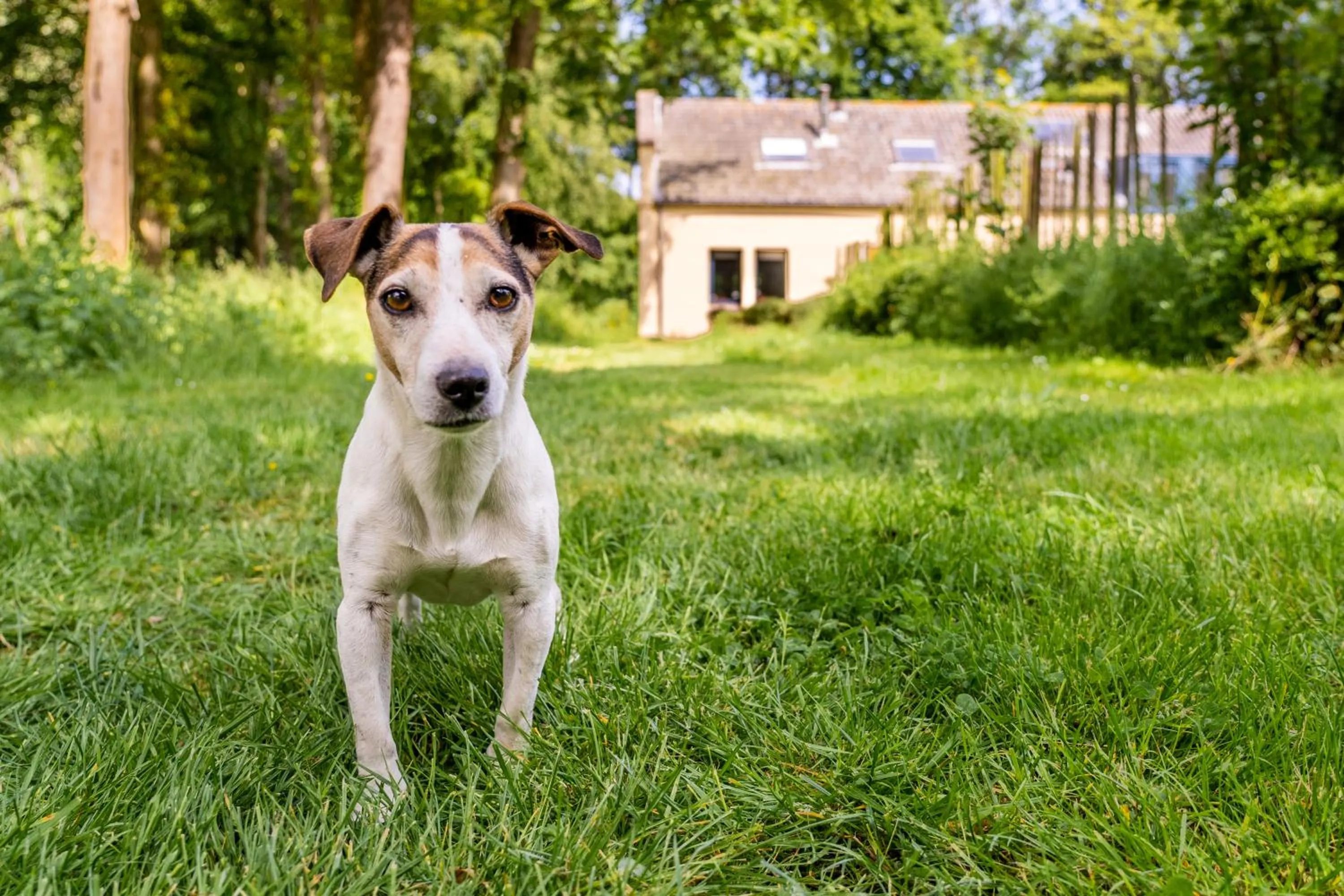 Buitenplaats Iepenoord