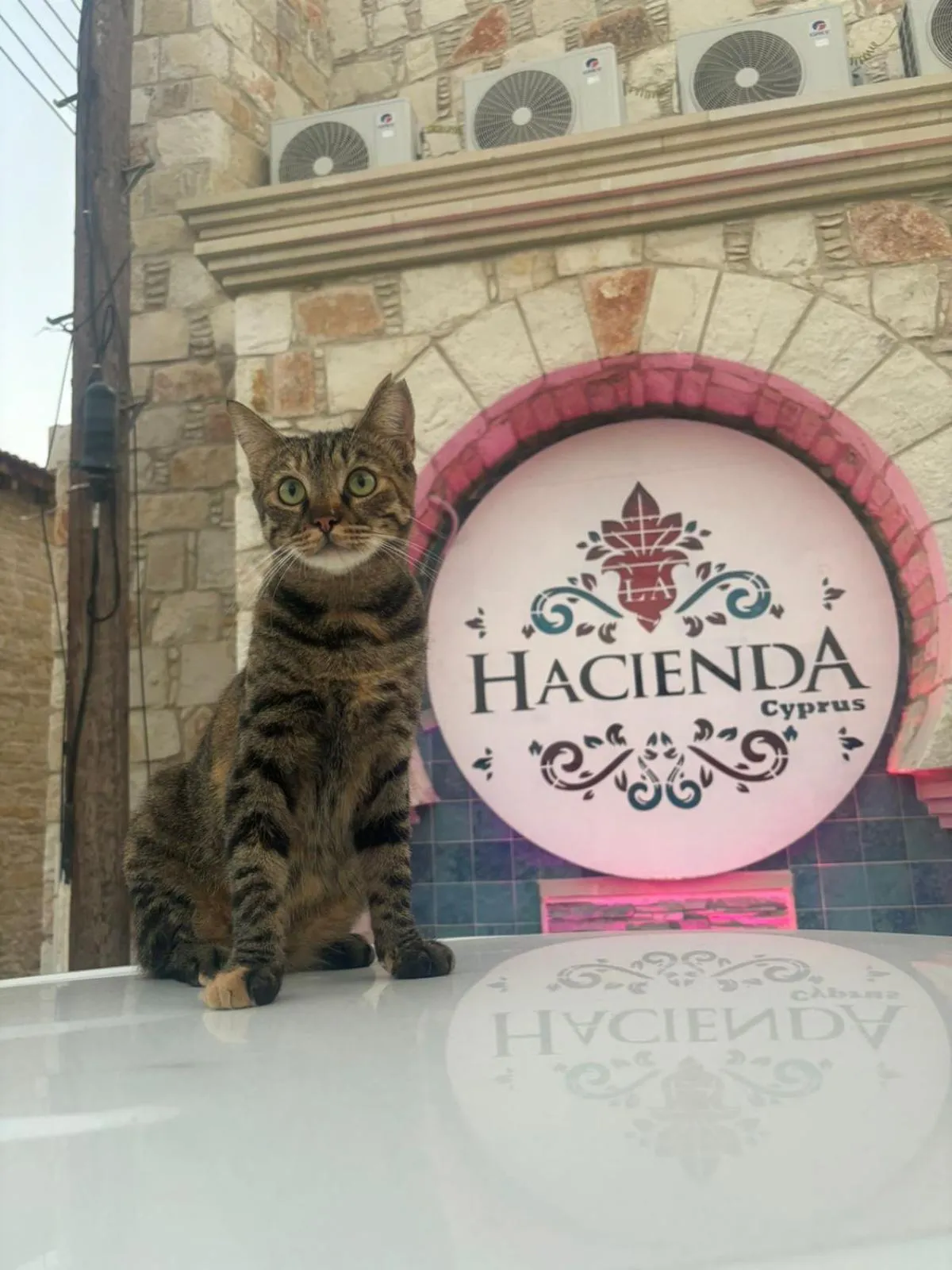 Property building in La Hacienda Cyprus