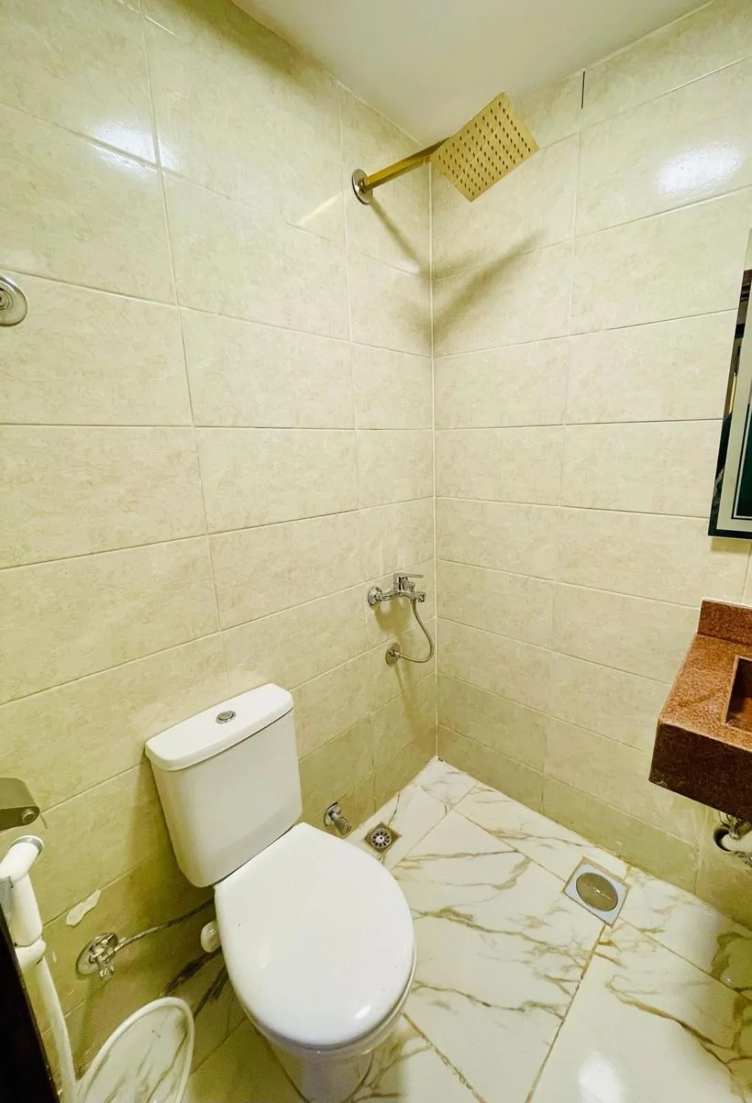 Shower in Farsha Pyramids Inn