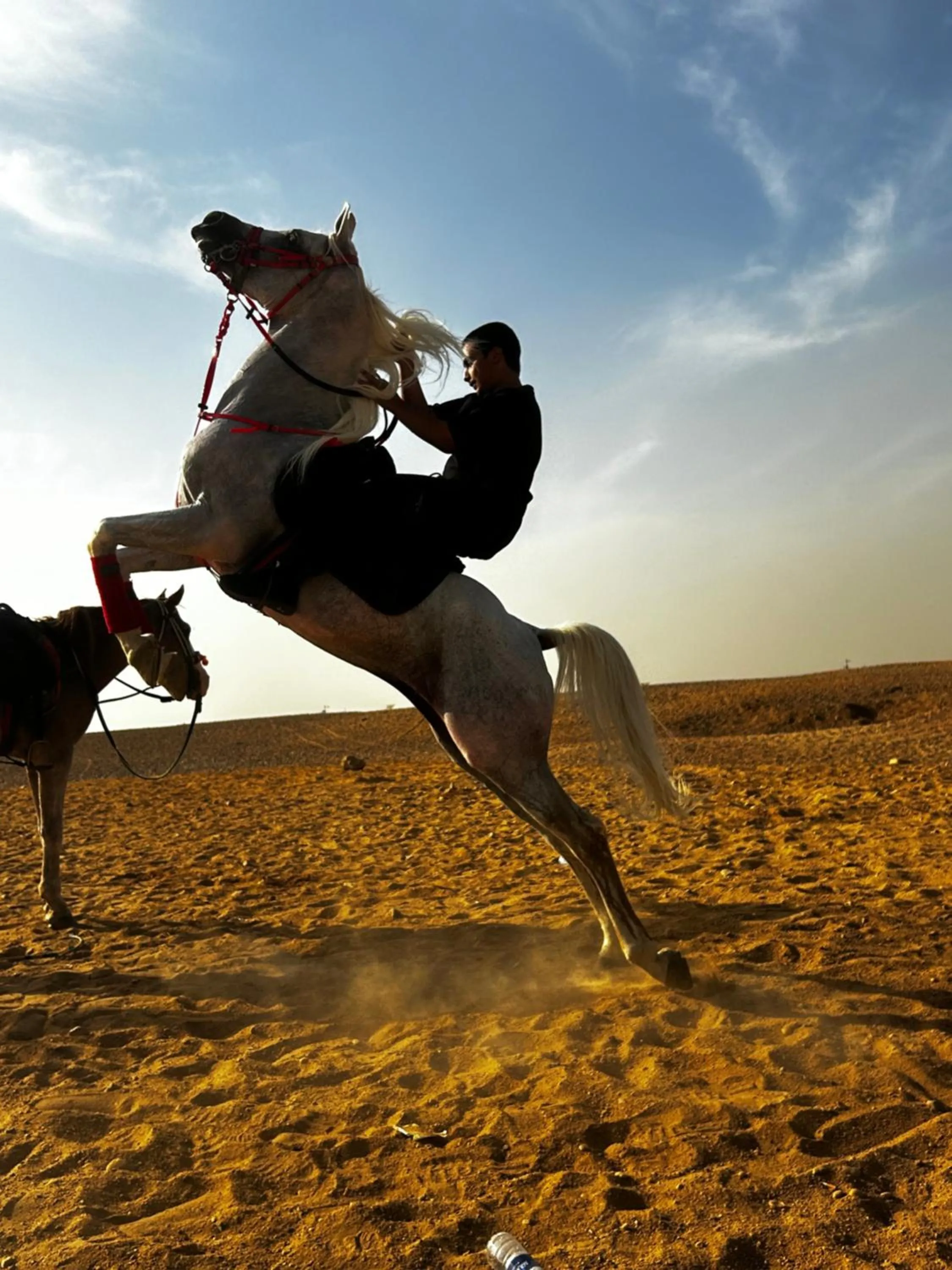 Day in Farsha Pyramids Inn