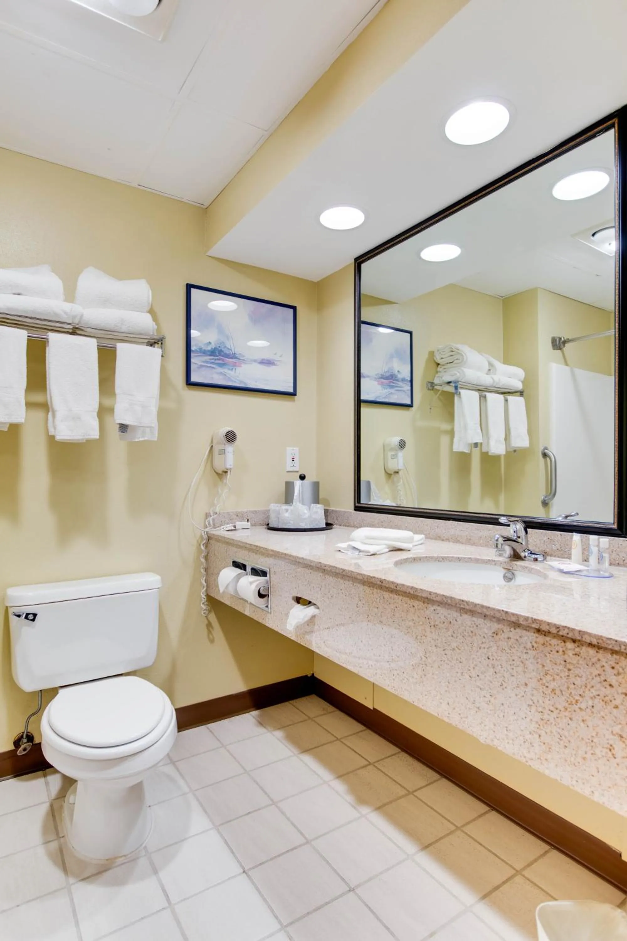 Standard King Room in Hotel Bemidji