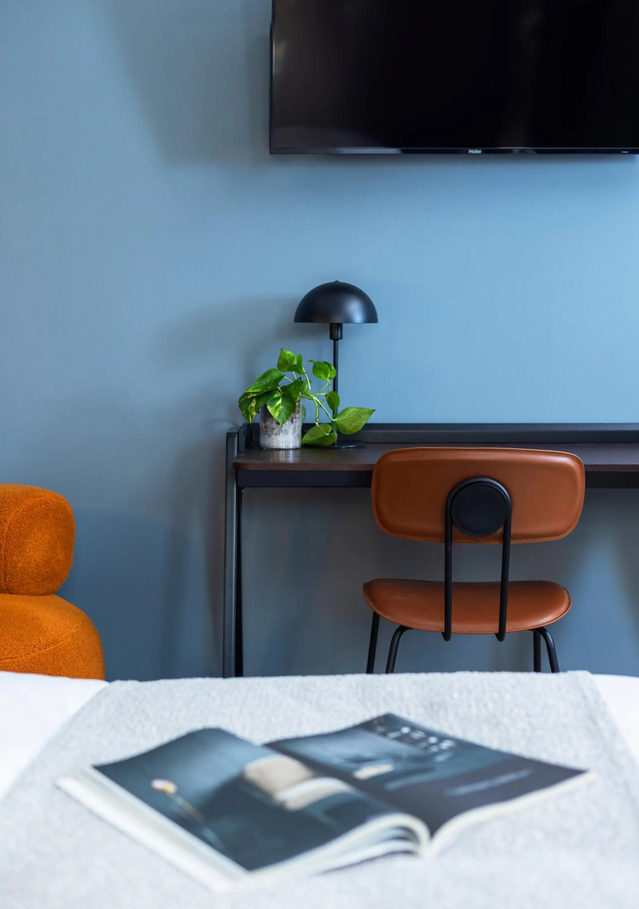 TV and multimedia in Albi Florentin - Traveler's Choice 2025