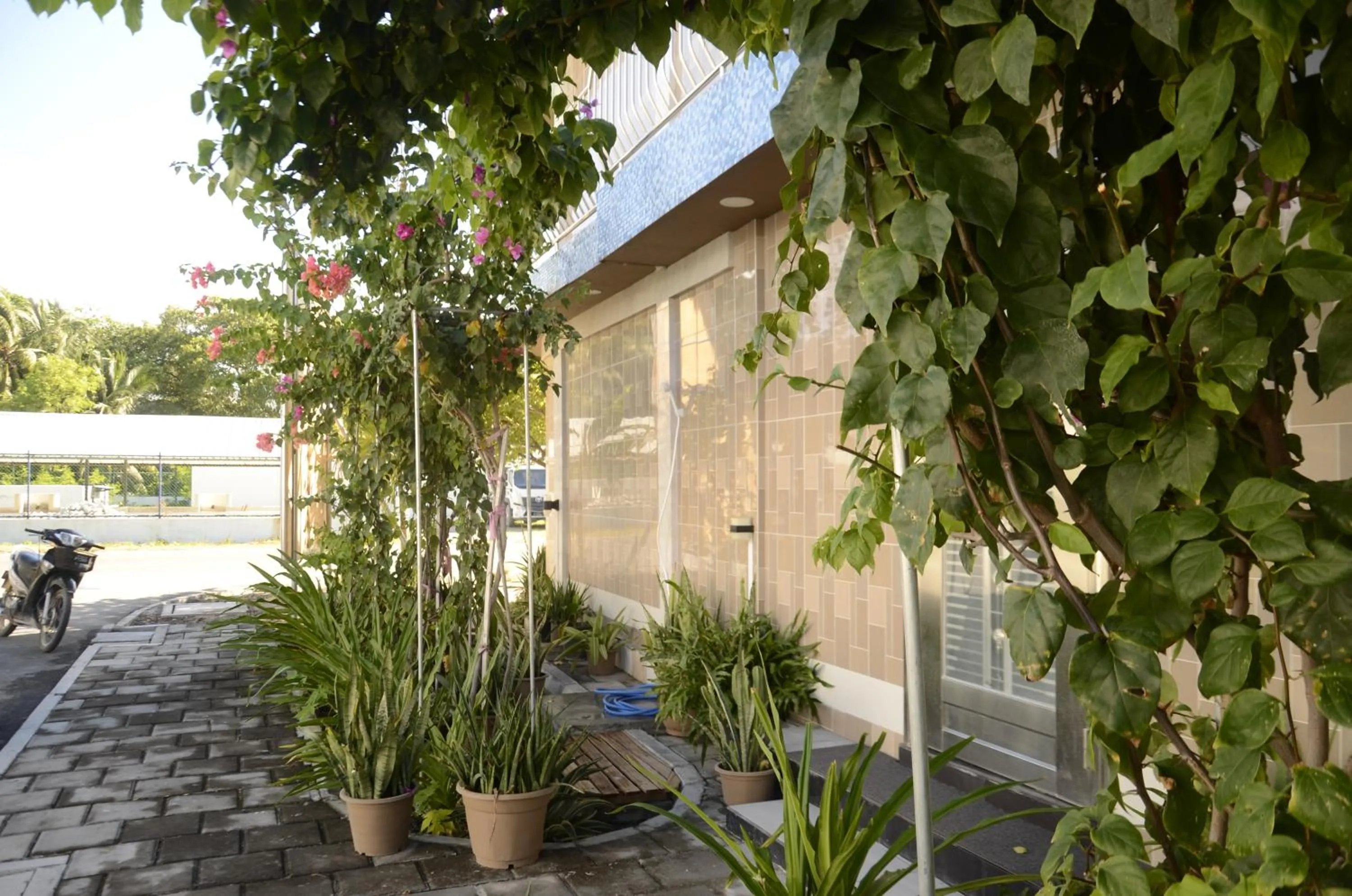 View (from property/room) in Isle inn {Fuvahmulah)