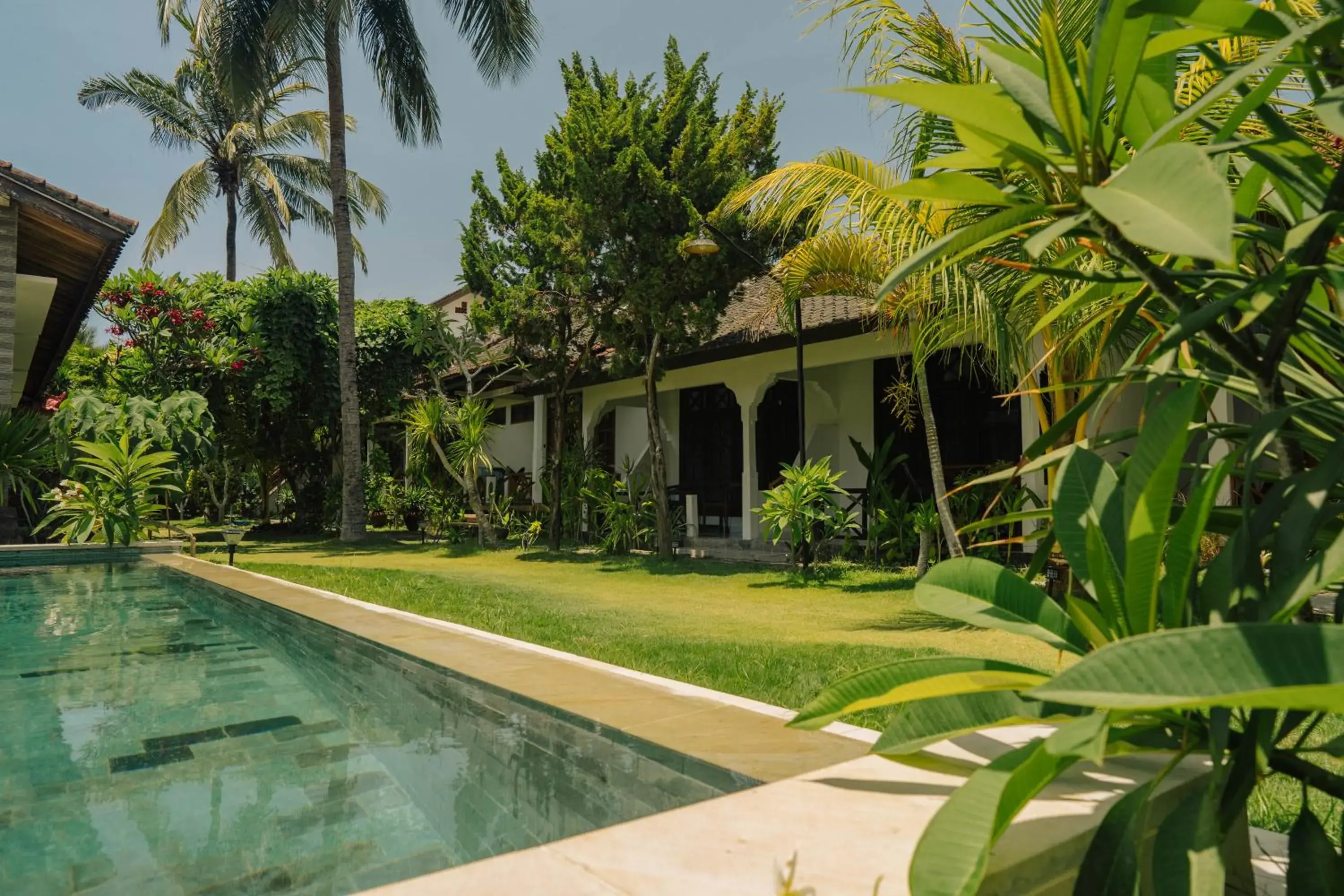 The Confidential Mandalika The Confidential Mandalika