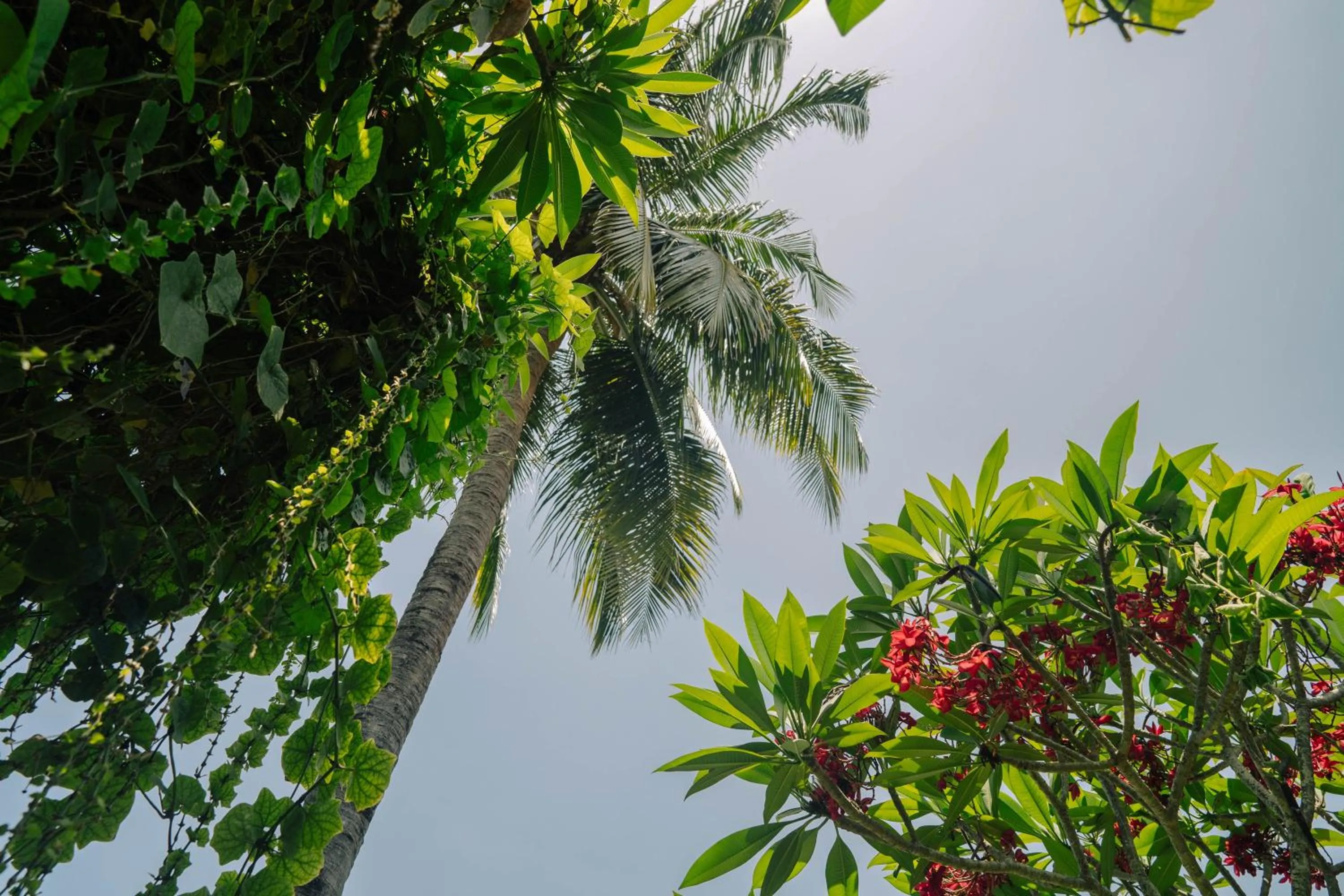 Property building in The Confidential Mandalika