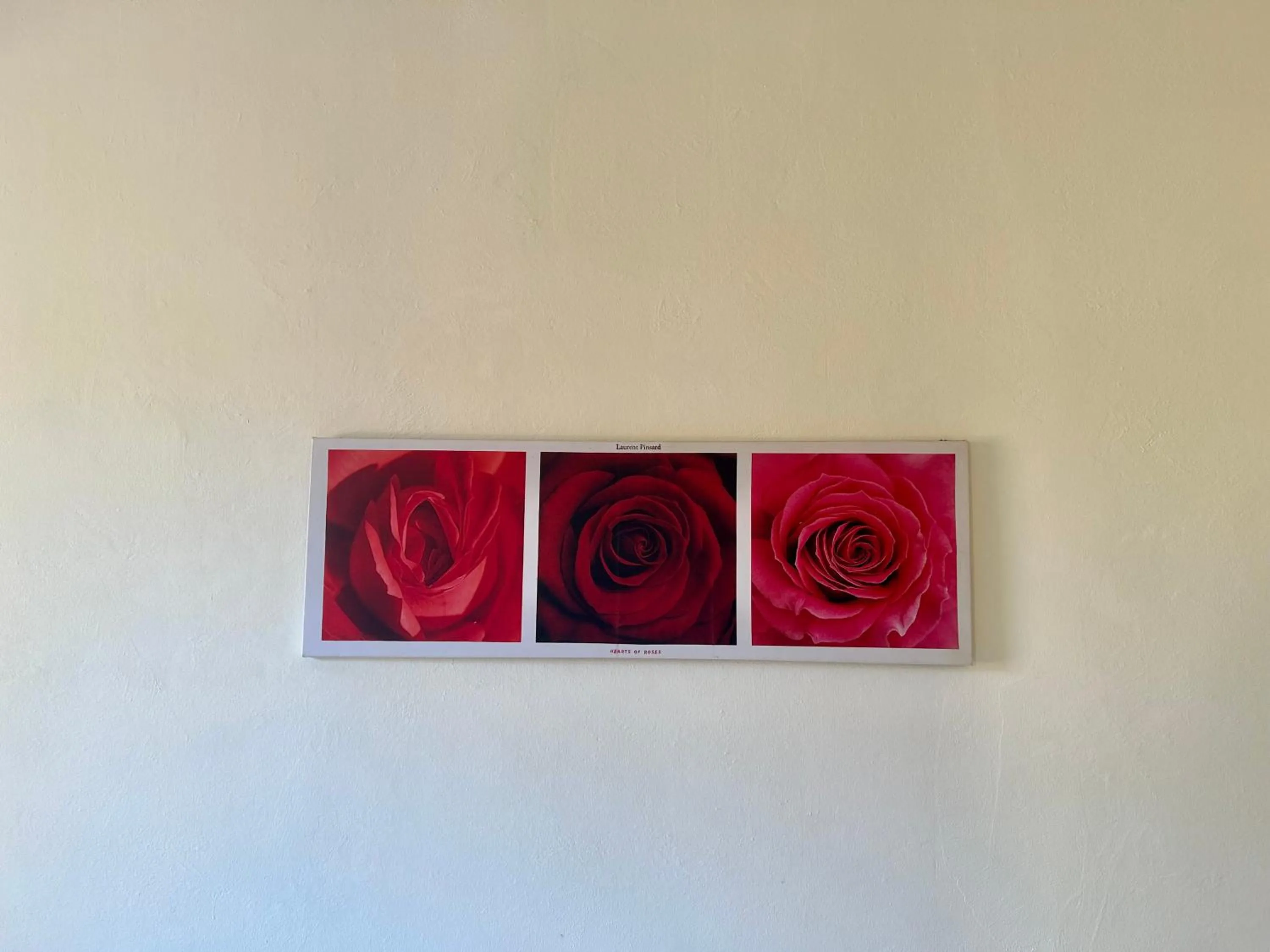 Decorative detail in Apartment Nel Centro Della Citta