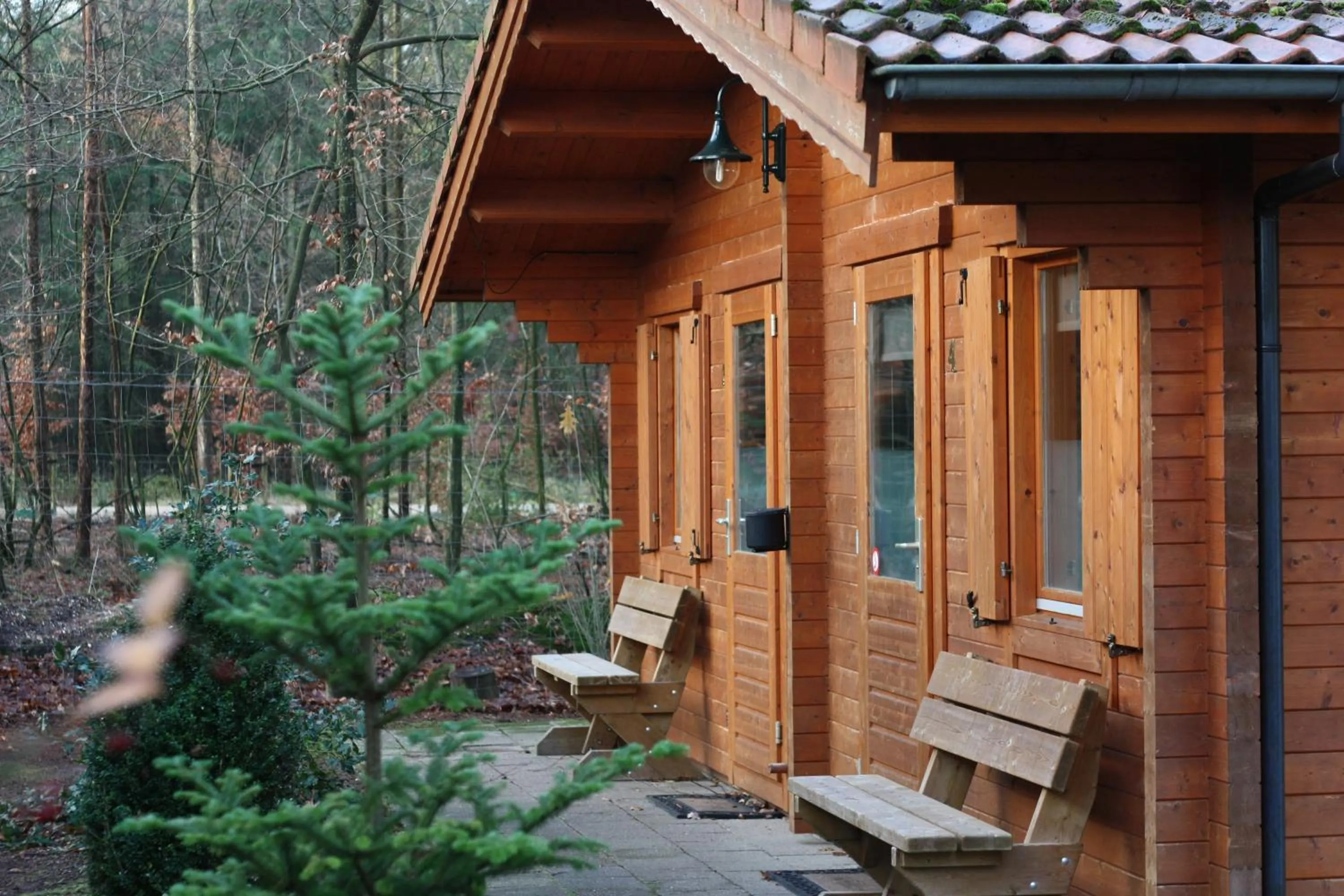 Lodges Veluwse Poort