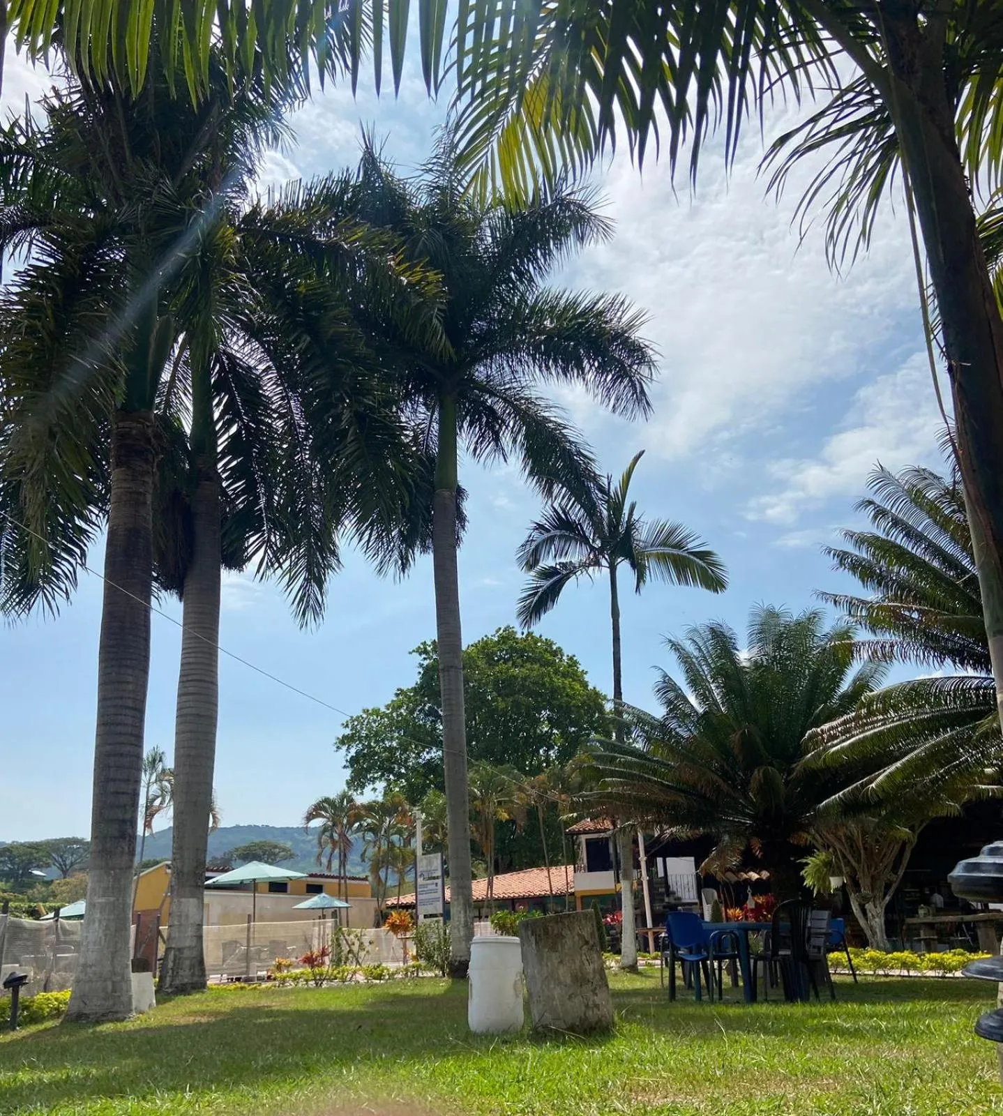 Natural landscape in HOTEL VILLA ZARAGOZA