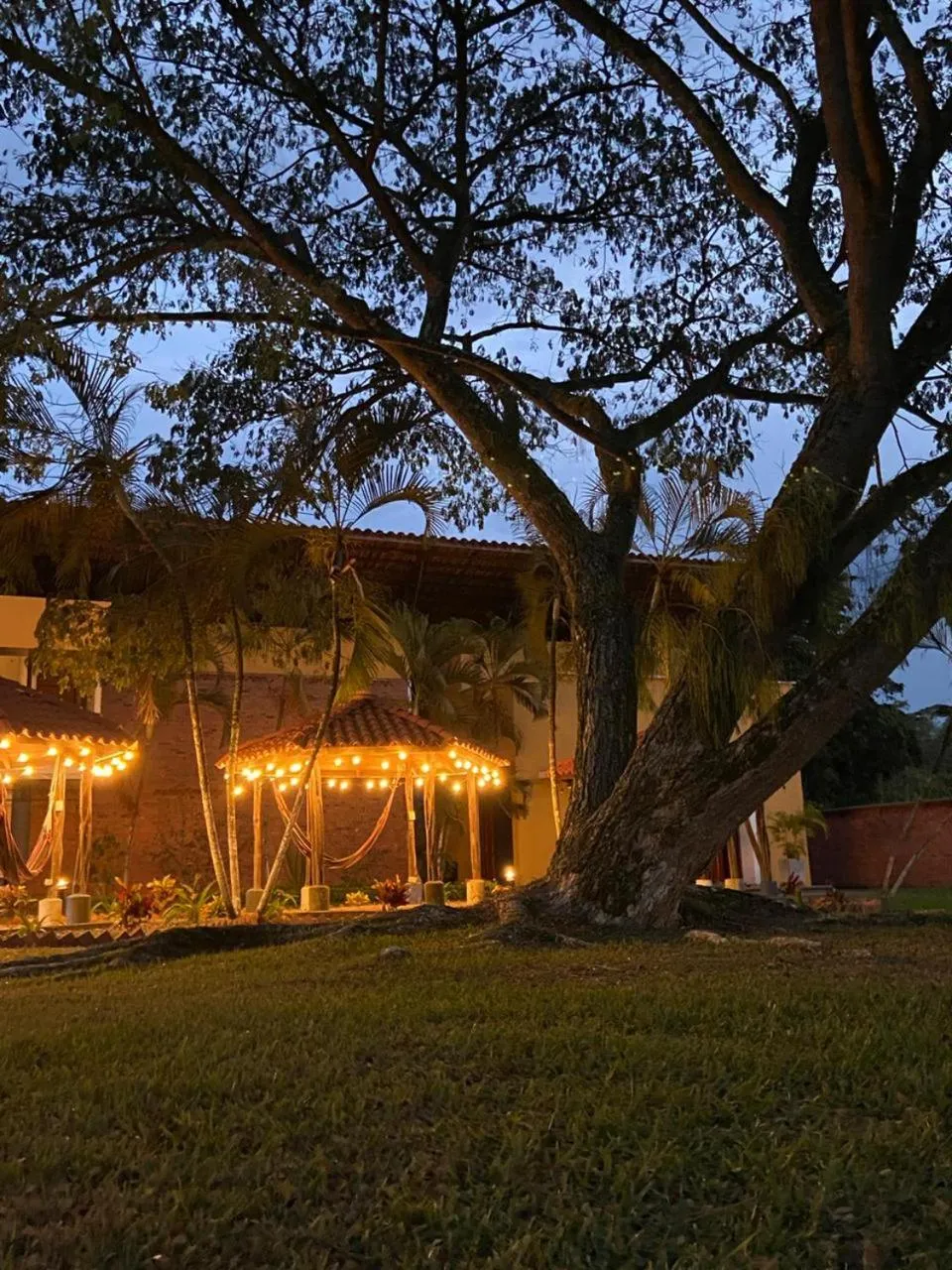 Garden in HOTEL VILLA ZARAGOZA