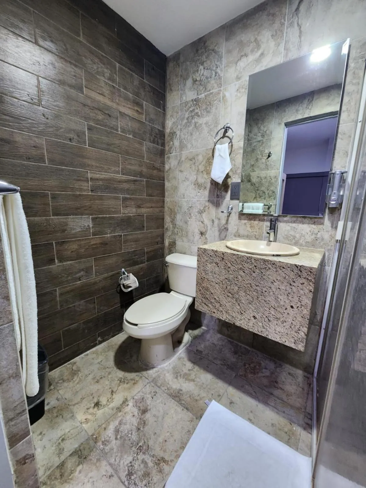 Bathroom in Hotel Roque